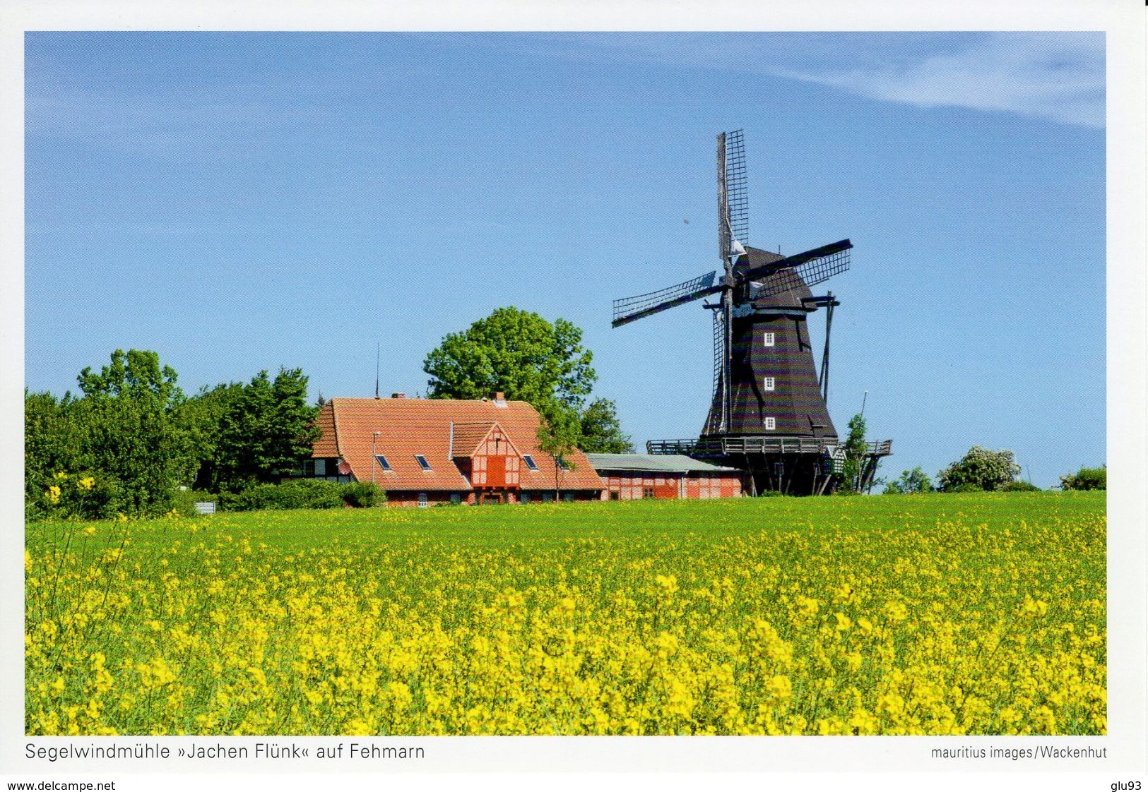 CPM - Segelwindmühle "Jachen Flûnk" Auf Fehmarn - Schleswig-Holstein - Allemagne - Port Gratuit - Freies Verschiffe - Fehmarn