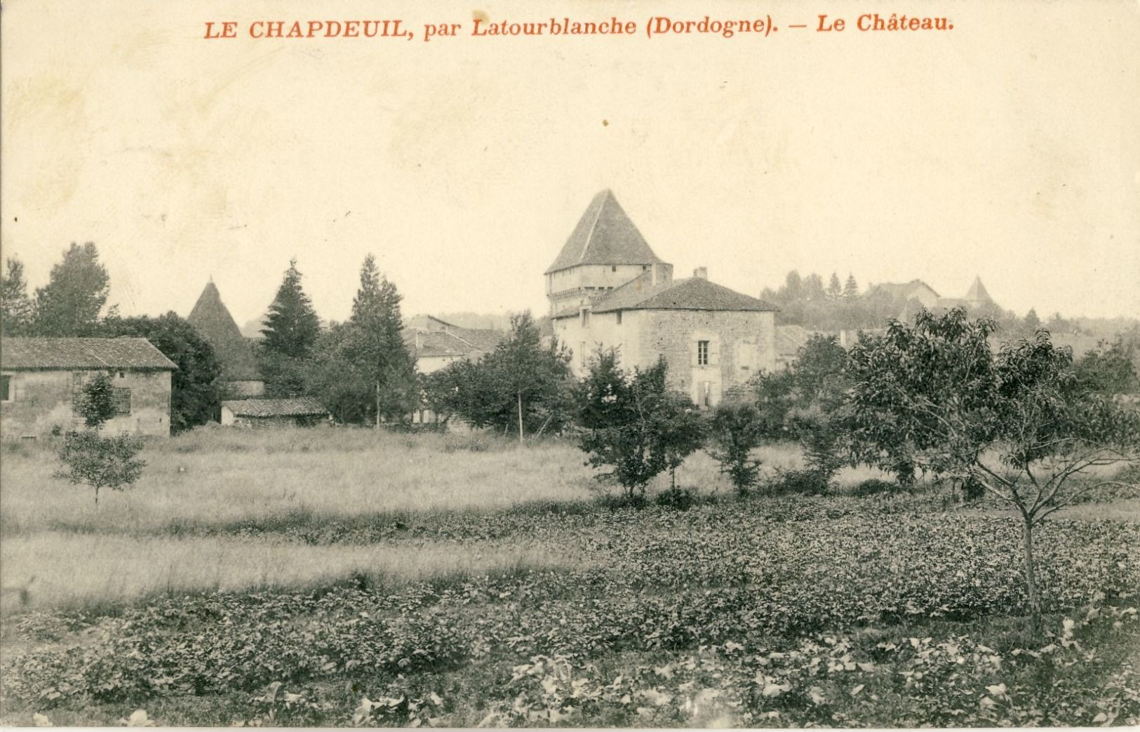 LE  CHAPDEUIL, Par  LATOURBLANCHE (Dordogne) -- LE  CHATEAU - Autres & Non Classés