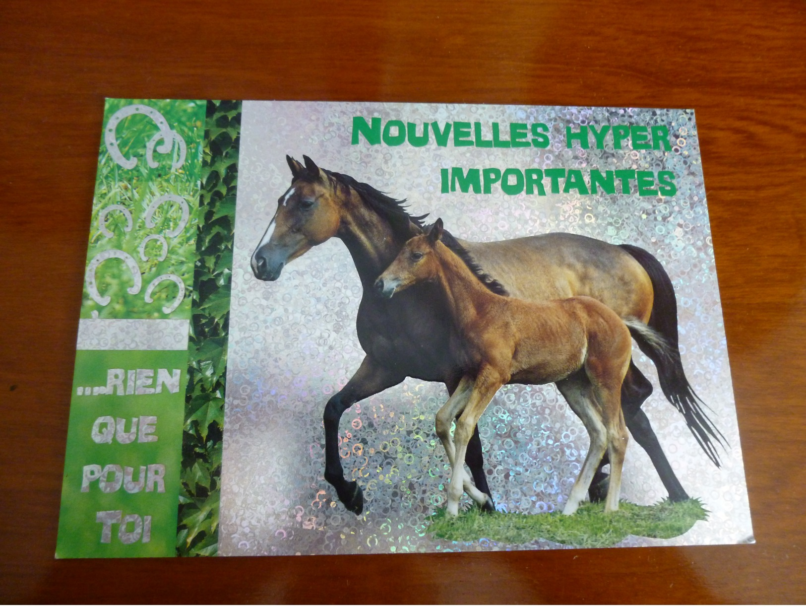 °°°°CARTE POSTALE    Neuve   CHEVAL / CHEVAUX / HORSES / PFERD - Caballos