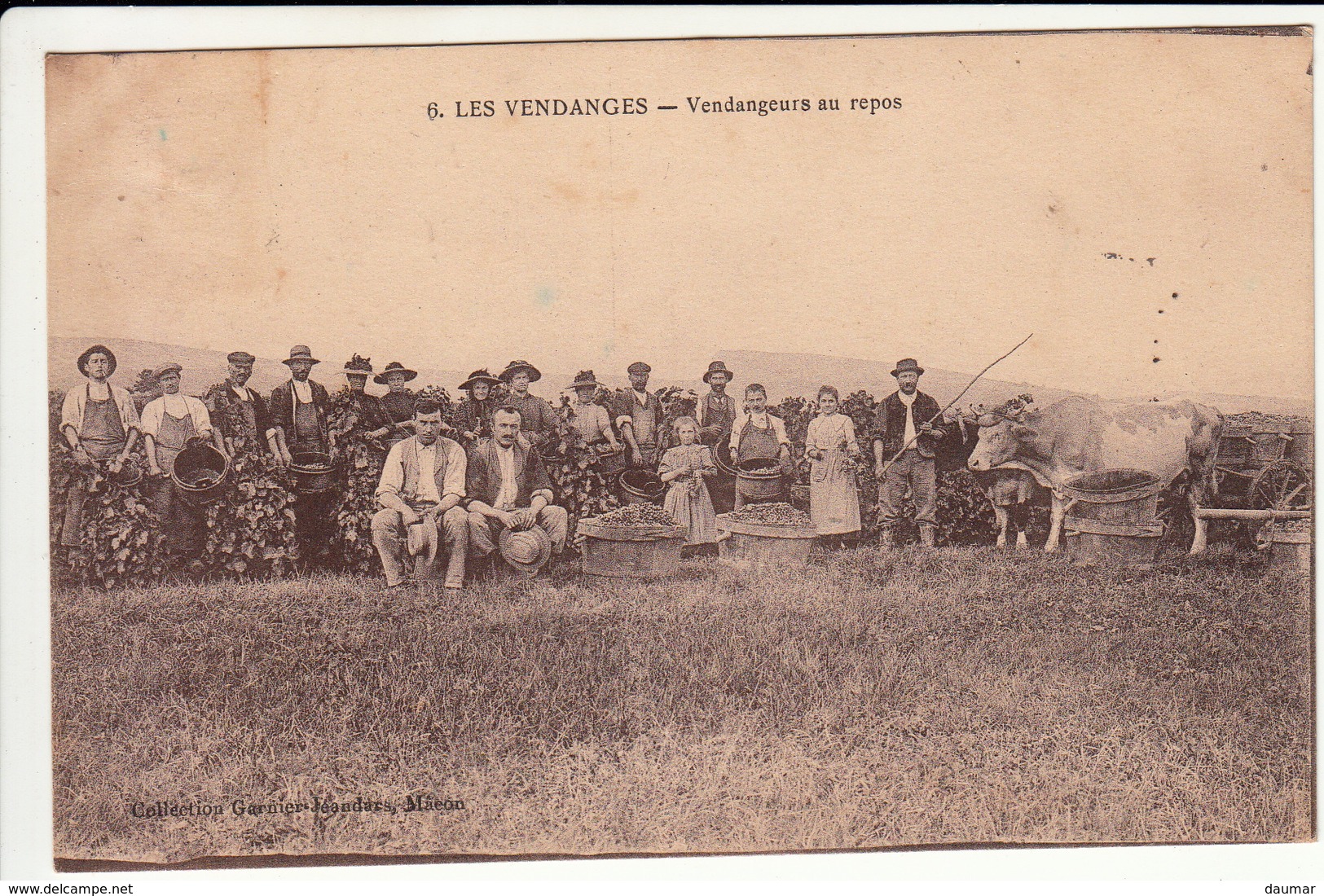 Les Vendanges , Vendangeurs Au Repos , Belle Scène Animée Avec Boeuf Et Charette, 1922 - Autres & Non Classés