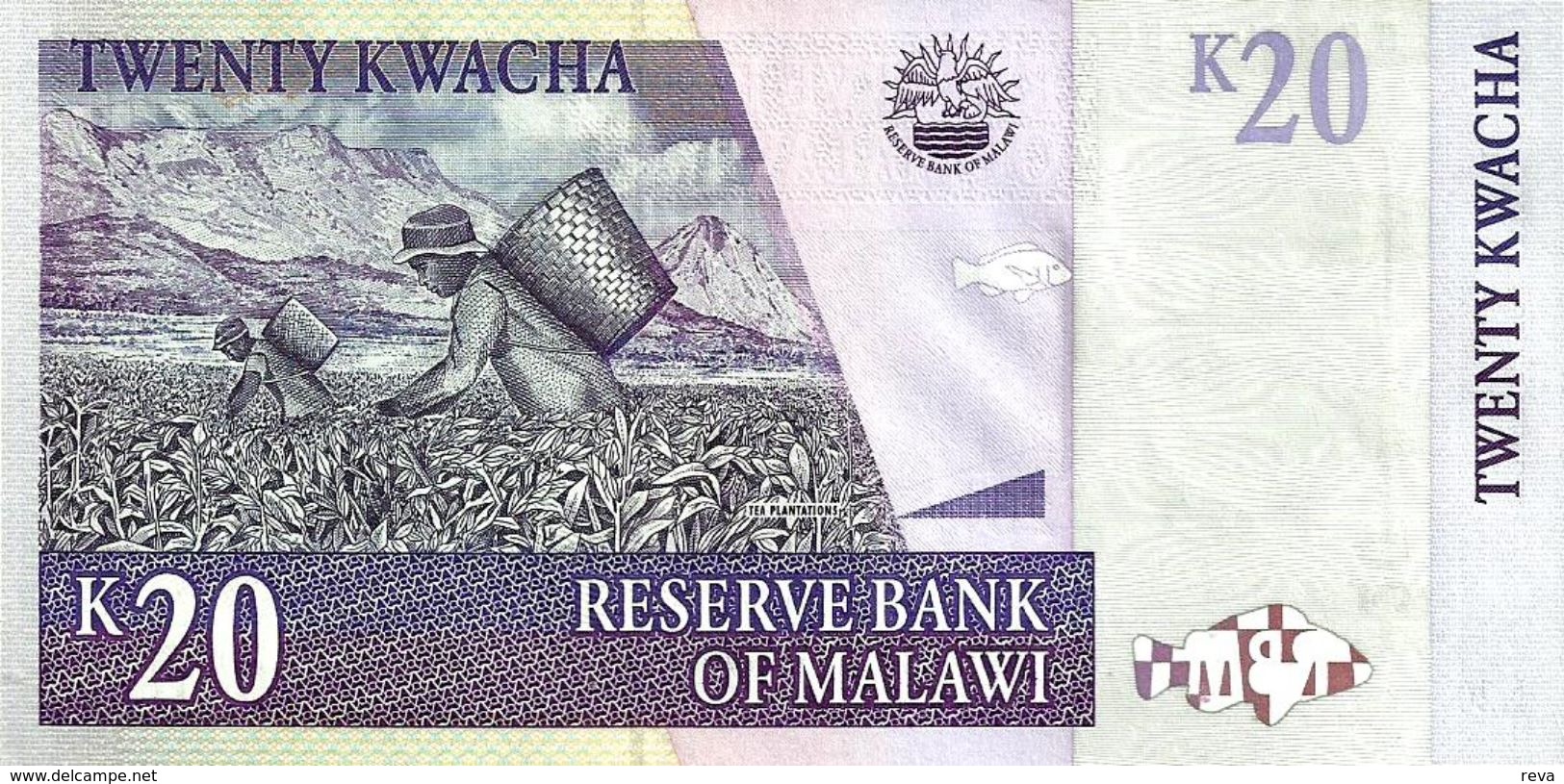 MALAWI 20 KWACHA PURPLE MAN FRONT LANDSCAPE MAN BACK DATED 31-10-2007 P.50 UNC READ DESCRIPTION - Malawi