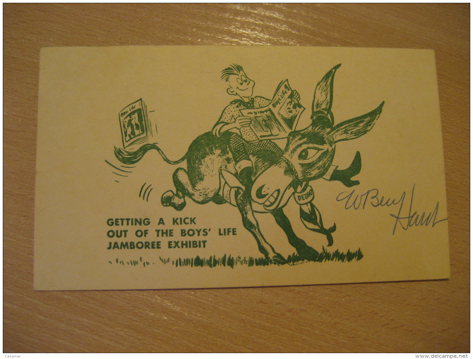 NATIONAL JAMBOORE VALLEY FORGE Philadelphia 1957 Post Card USA Donkey Donkeys Horse - Anes