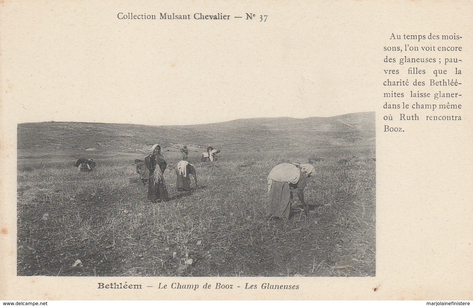 CPA - Bethléem - Le Champ De Booz - Les Glaneuses . Collection Mulsant Chevalier - N° 37 - Israel
