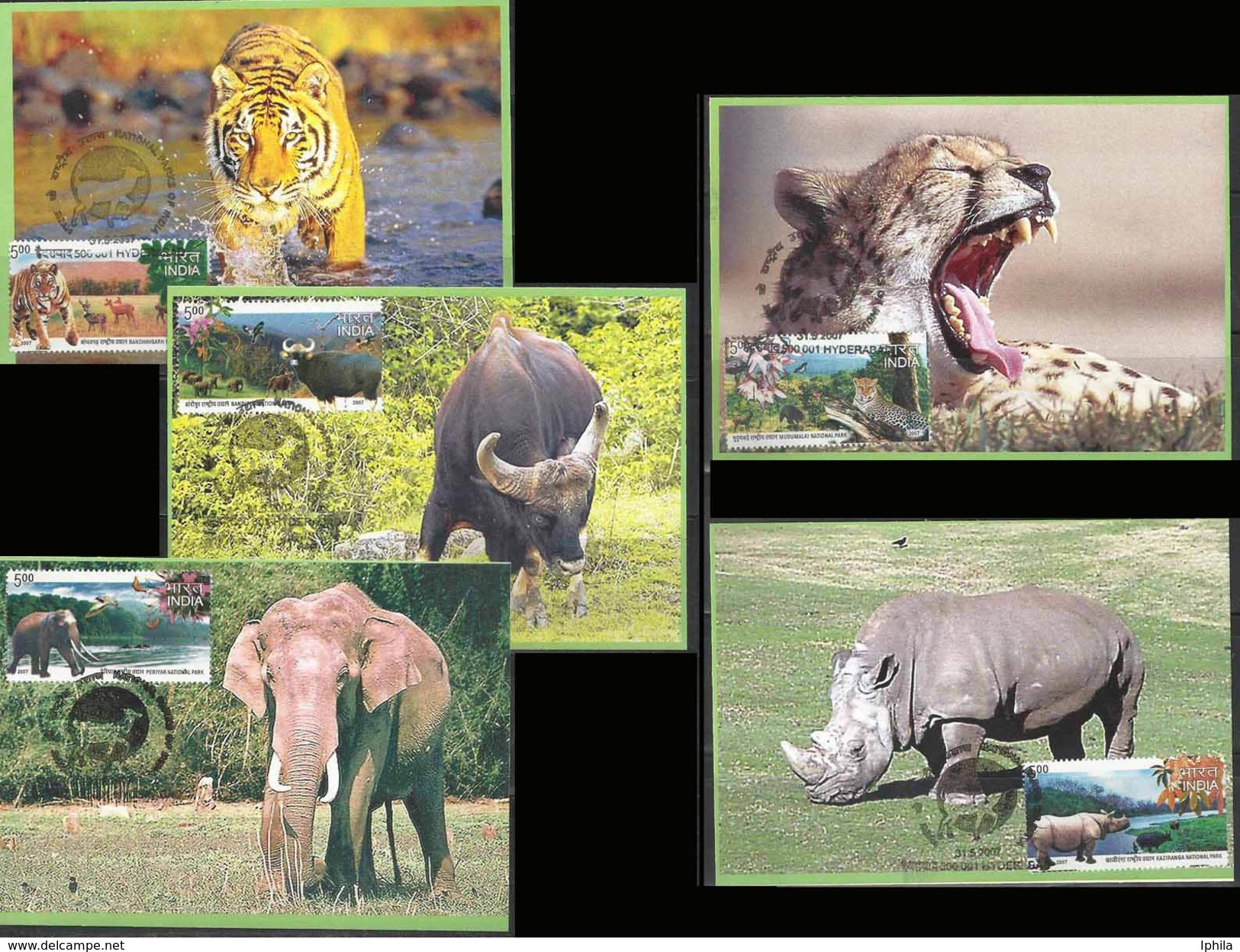 National Parks 2007 Set Indian Max Cards Maximum Mammals Wild Life Animals Tiger Leopard Elephant Rhino Rhinoceros Bison - Big Cats (cats Of Prey)