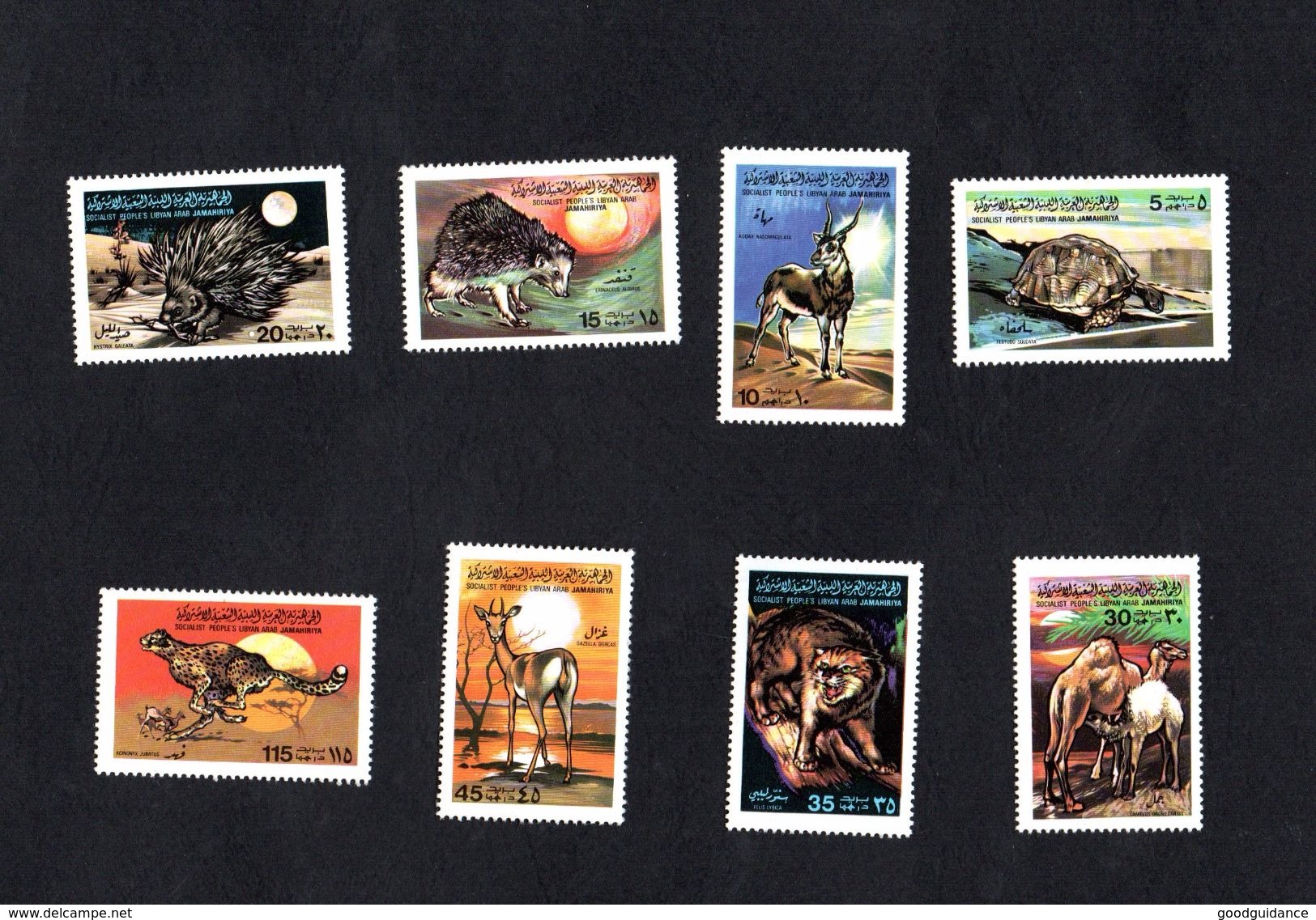 1979- Libya- Animals- Lepoard, Sun, Deer, Tortoise- Porcupine- Hegdehog- Camel-8 Stamps Complete Set MNH** - Other & Unclassified