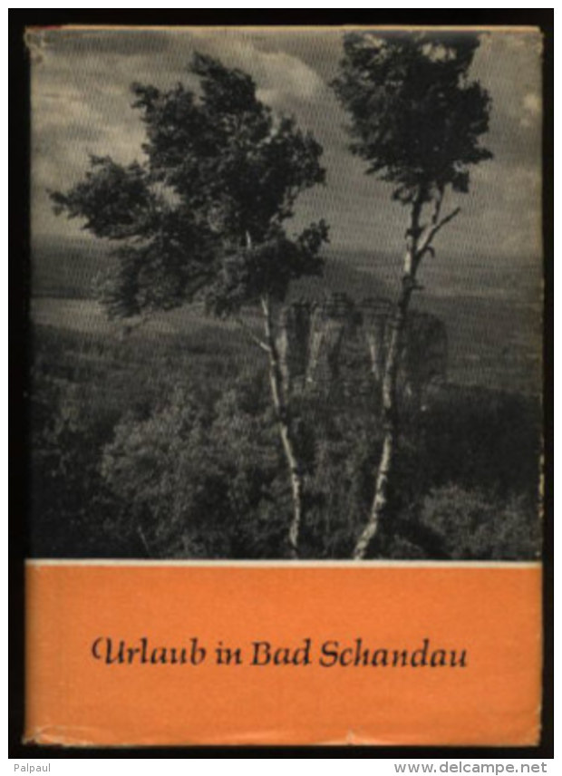 01814 Bad Schandau 1960 E3238 Antiquariat Alte Bücher Altes Buch - Sachsen