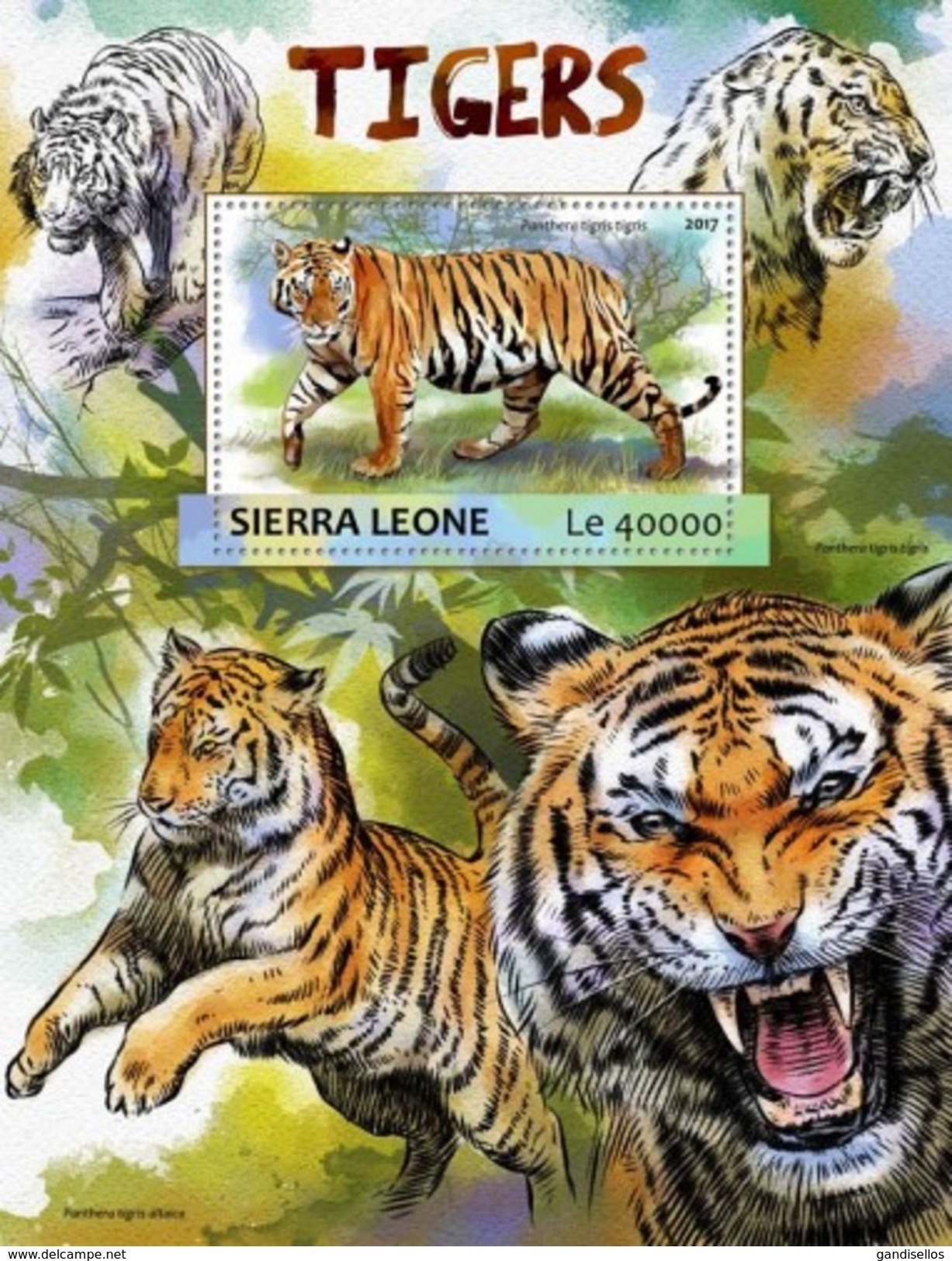 SIERRA LEONE 2017 SHEET TIGERS TIGRES WILD CATS RAUBKATZEN FELINS FELINES FELINOS FELINI WILDLIFE Srl17303b - Sierra Leone (1961-...)