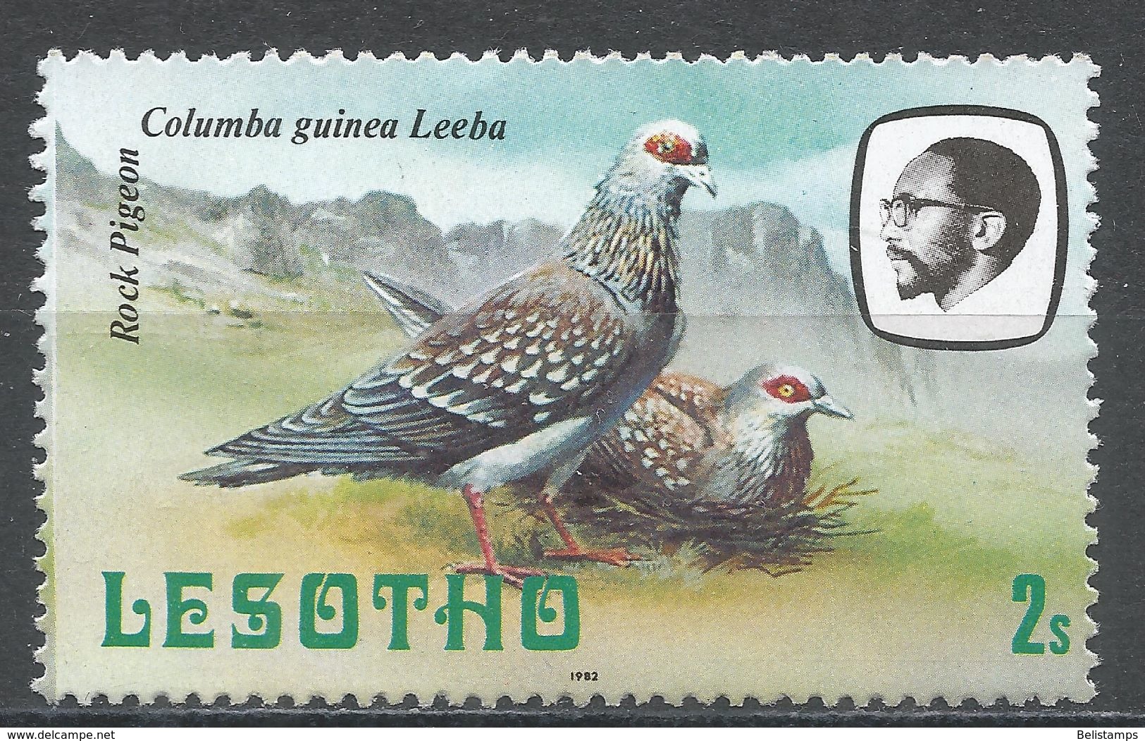 Lesotho 1981. Scott #322 (M) Rock Pigeons, Birds, Oiseaux - Lesotho (1966-...)