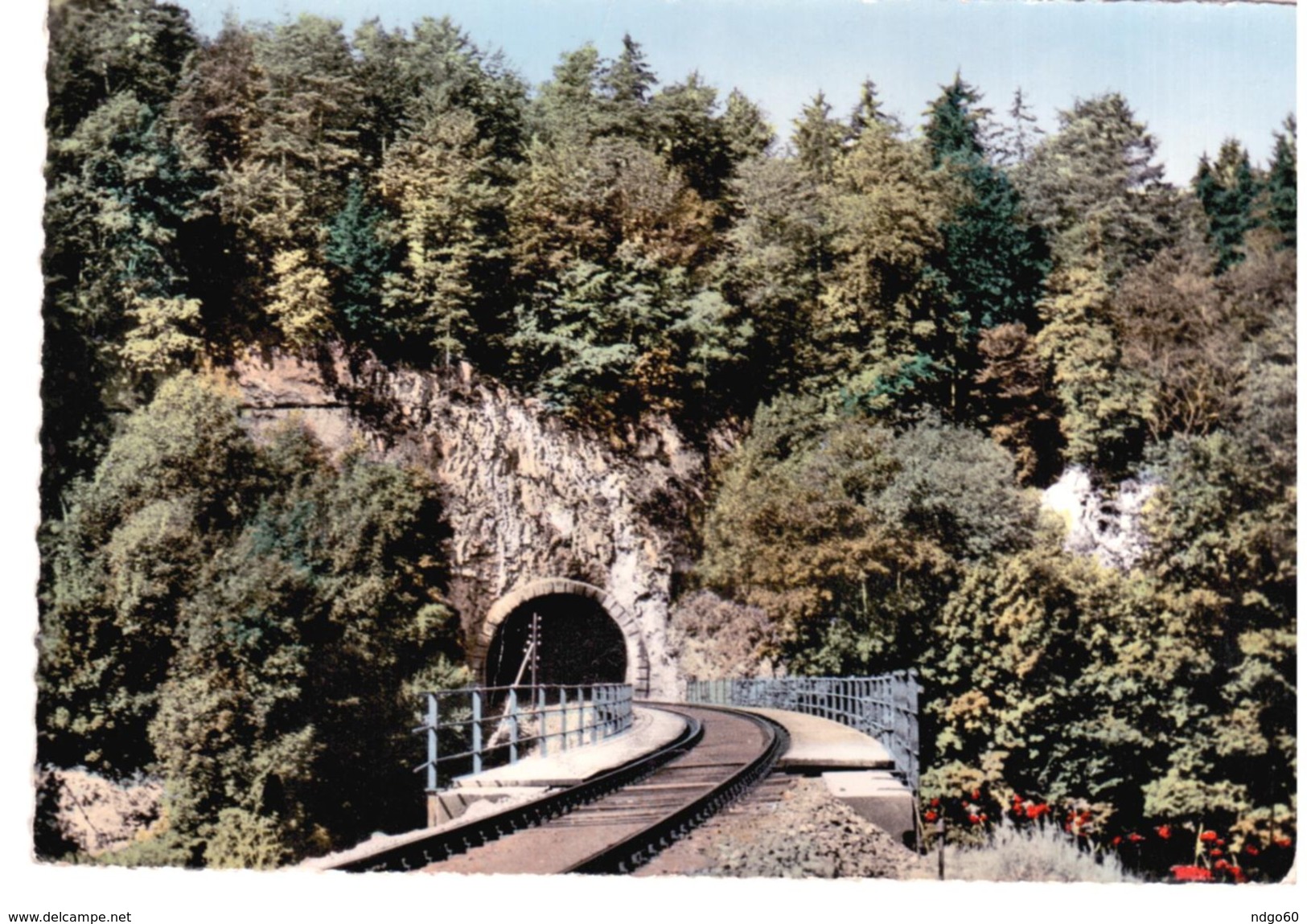 Vallée Du Danube - Voie Ferrée Sigmaringen - Tiergarten - Sigmaringen