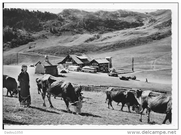 CPSM 74 Le Col Des Aravis,photo Véritable - Autres & Non Classés