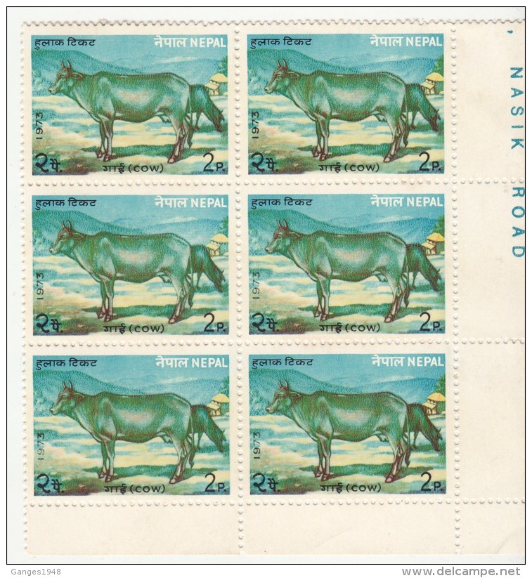 Nepal   2P  Cow  COLOUR MISSING  MNH Block Of 6  #  00925  D  Inde  Indien - Nepal