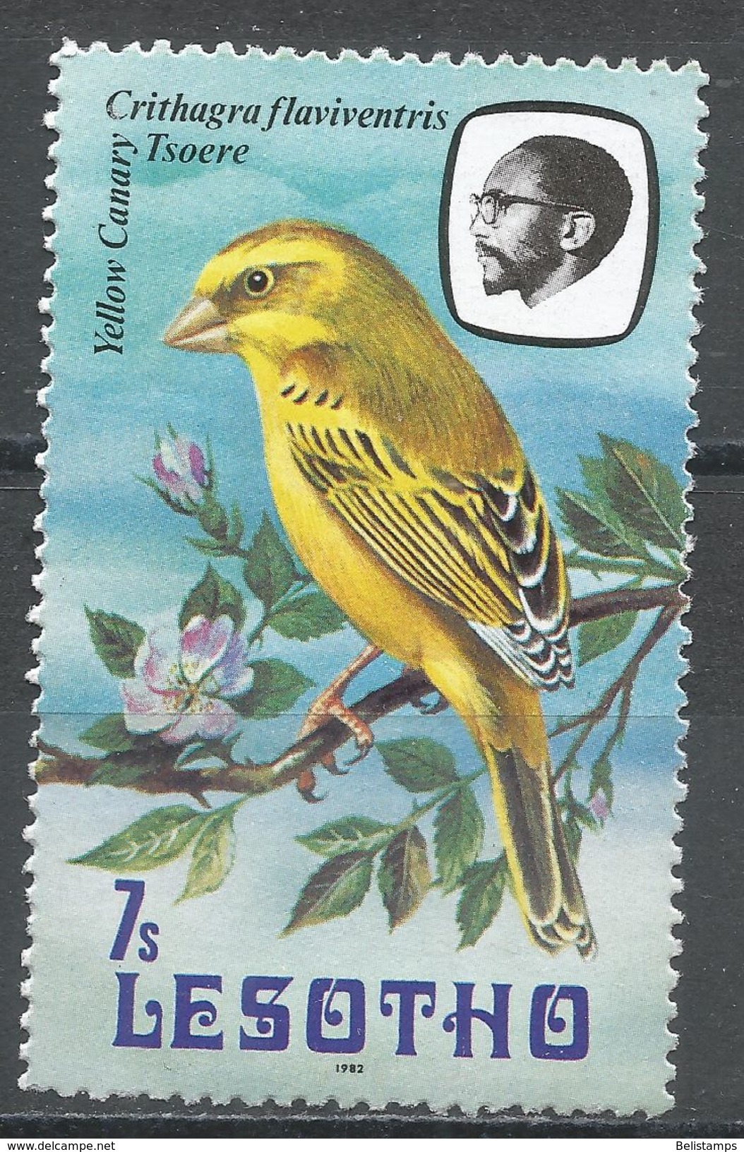 Lesotho 1981. Scott #326 (MH) Yellow Canary, Bird, Oiseau - Lesotho (1966-...)