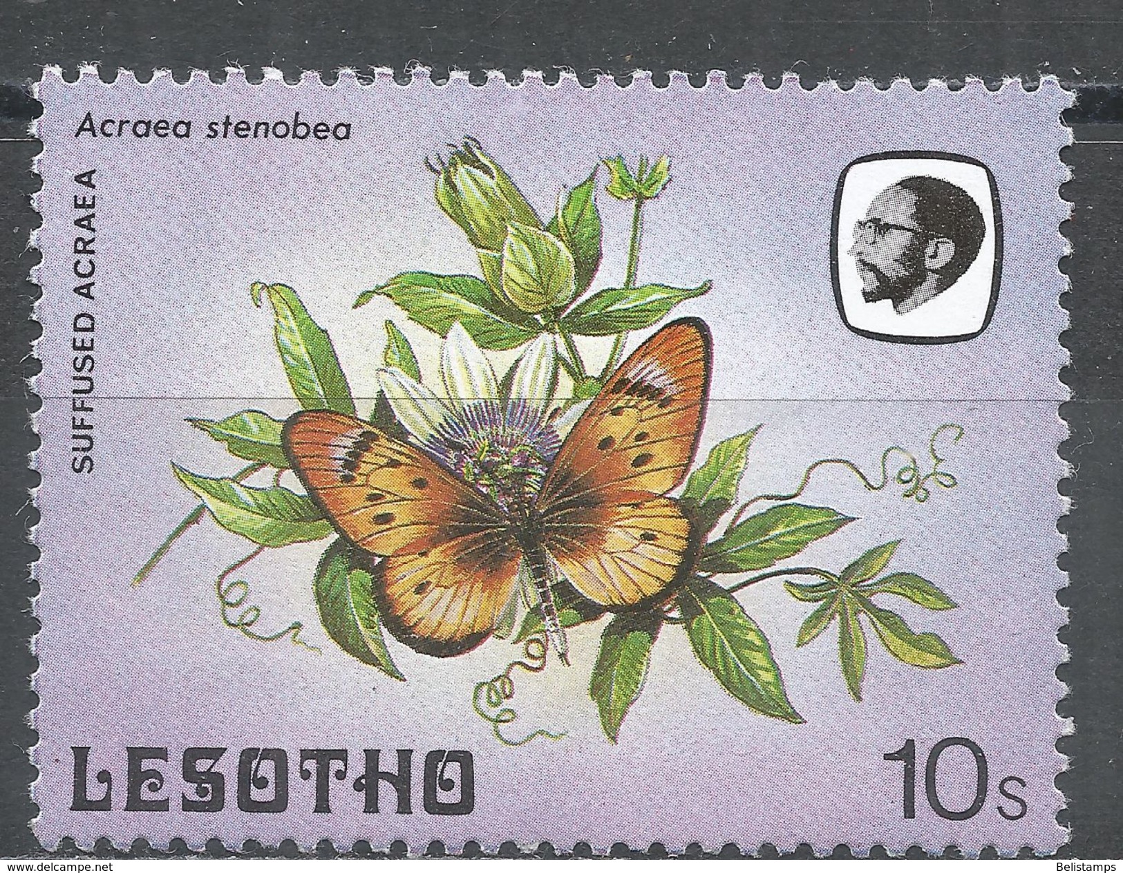 Lesotho 1984. Scott #428 (MNH) Sulfused Acraea, Butterfly, Papillon - Lesotho (1966-...)