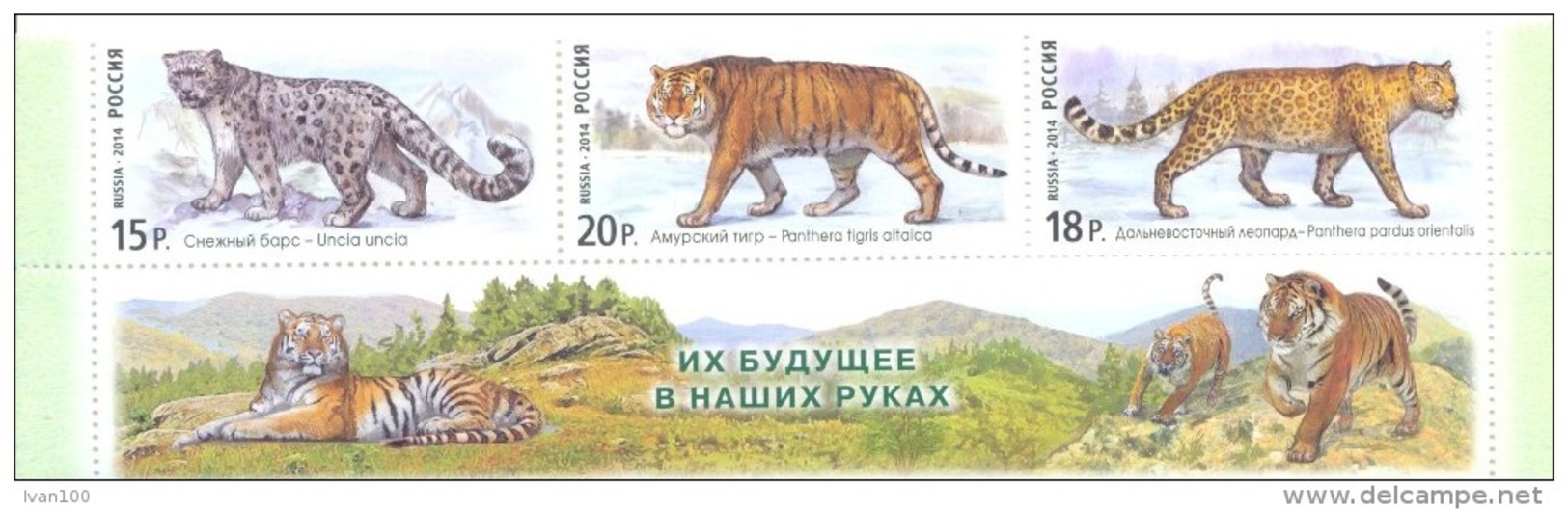 2014. Russia,  Wild Cats, Set Wih Labels,  Mint/** - Unused Stamps