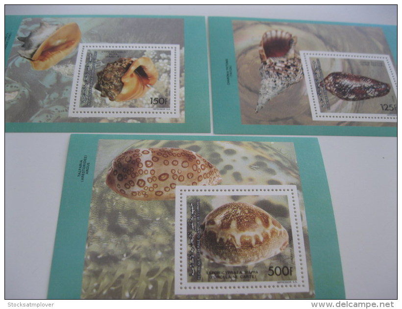 Comoros Comores-1992-fauna-marine Life-shells-MI.BL.362-364 - Comoros