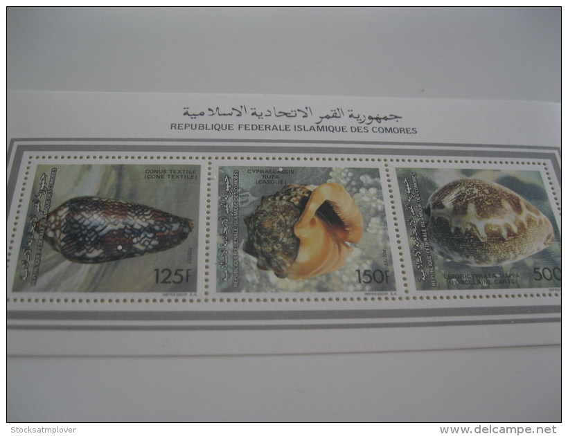 Comoros Comores-1992-fauna-marine Life-shells -klb-MI.985B-987B - Comoros