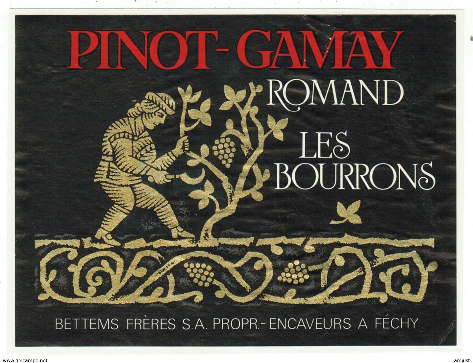 Rare // Etiquette // Pinot-Gamay Romand, Bettems Frères à Féchy, Vaud  // Suisse - Autres & Non Classés