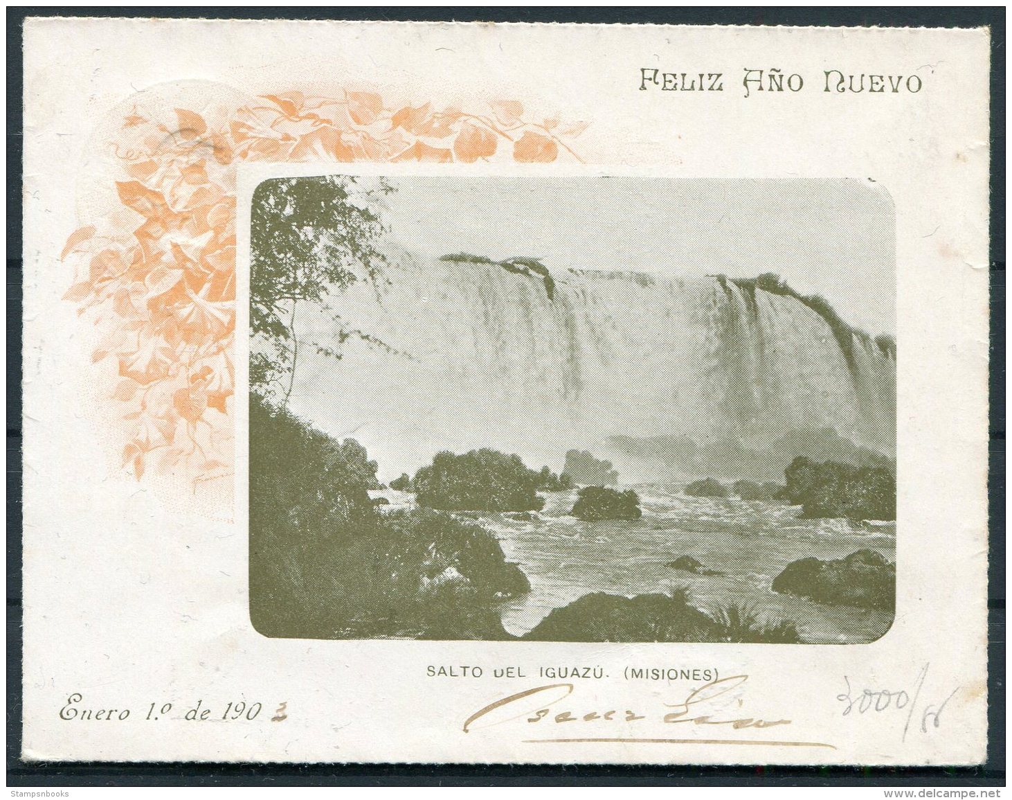 1903 Argentina 5 Cent Salto Del Iguazu Missiones Stationery. Waterfall - Postal Stationery