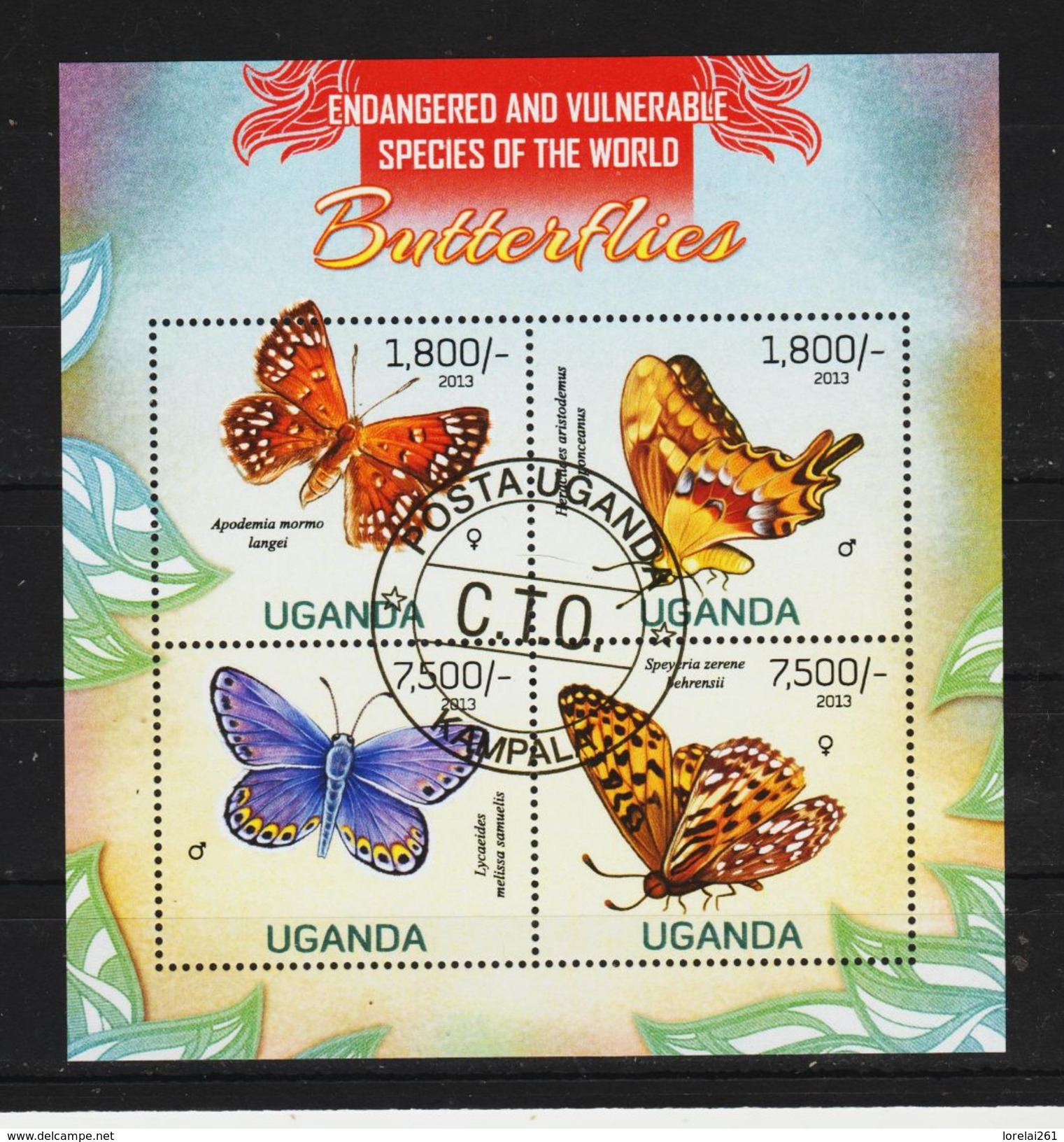 UGANDA - LES PAPILLONS - Mariposas