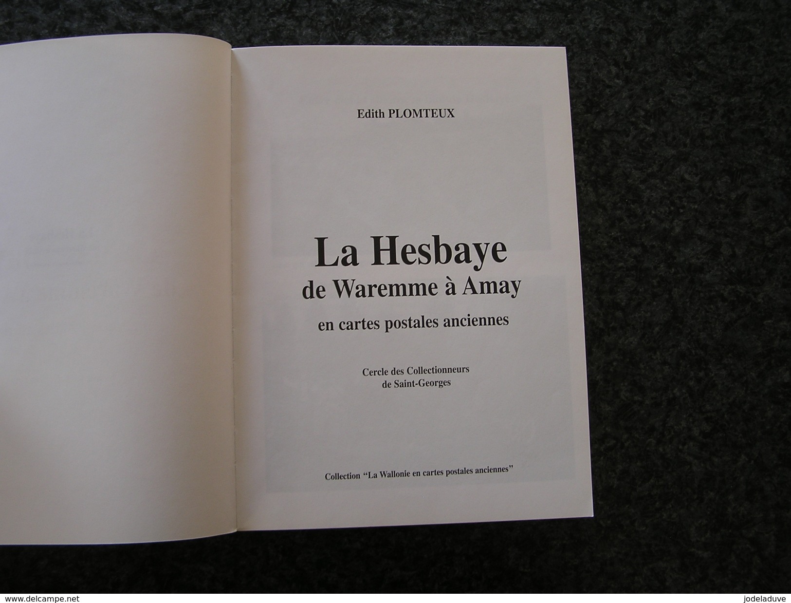 LA HESBAYE DE WAREMME à AMAY Régionalisme Tram Vicinal SNCV Brasserie Charbonnages Gare Usine Innondations Commerce - Belgique