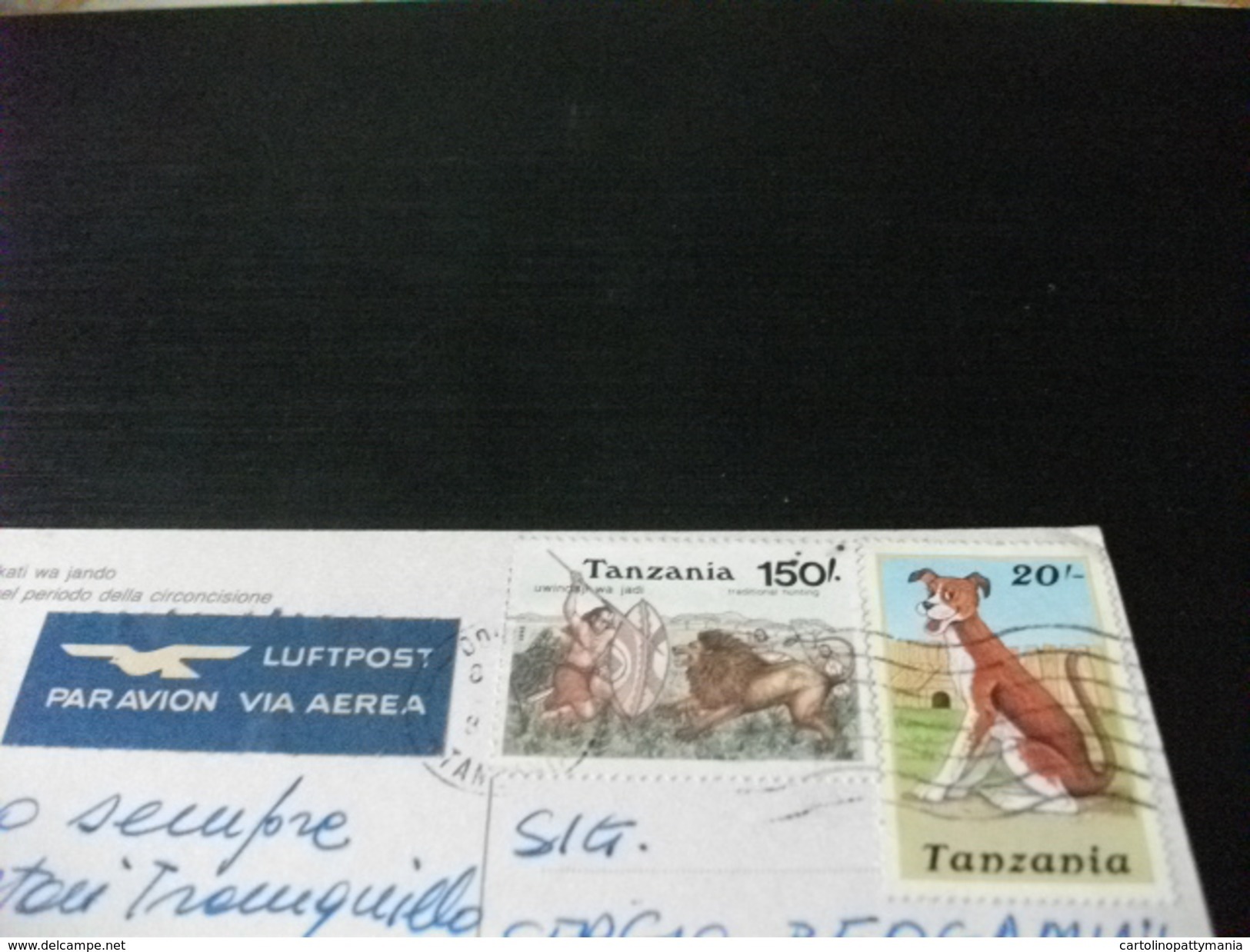 STORIA POSTALE FRANCOBOLLO COMMEMORATIVO LEONE CANE TANZANIA MVULANA WAKATI WA JANDO  RAGAZZO PERIODO CIRCONCISIONE - Tanzania