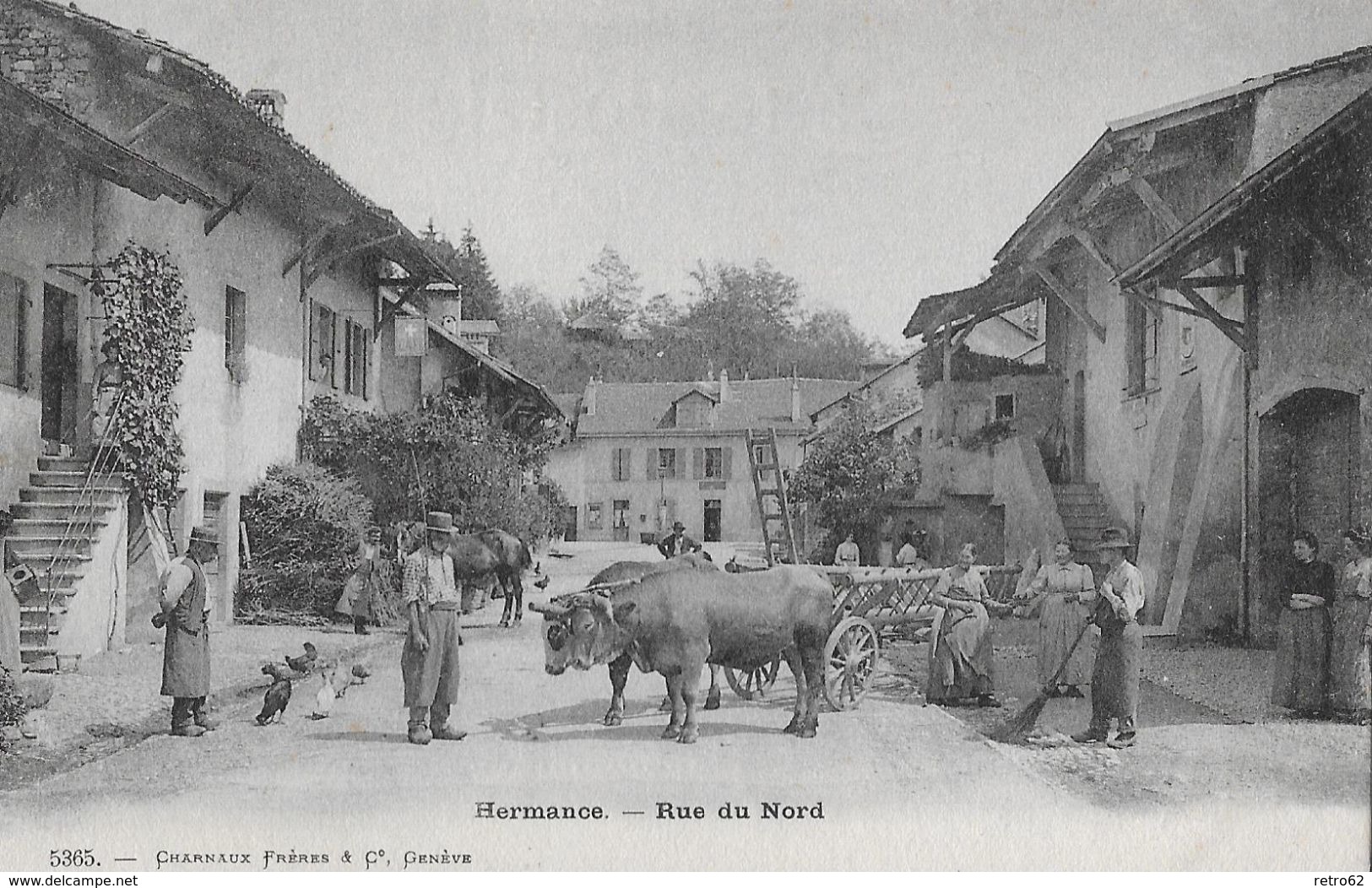 HERMANCE &rarr; Rue Du Nord Mit Ochsengespann Und Vielen Dorfbewohner, CA.1900 - Hermance