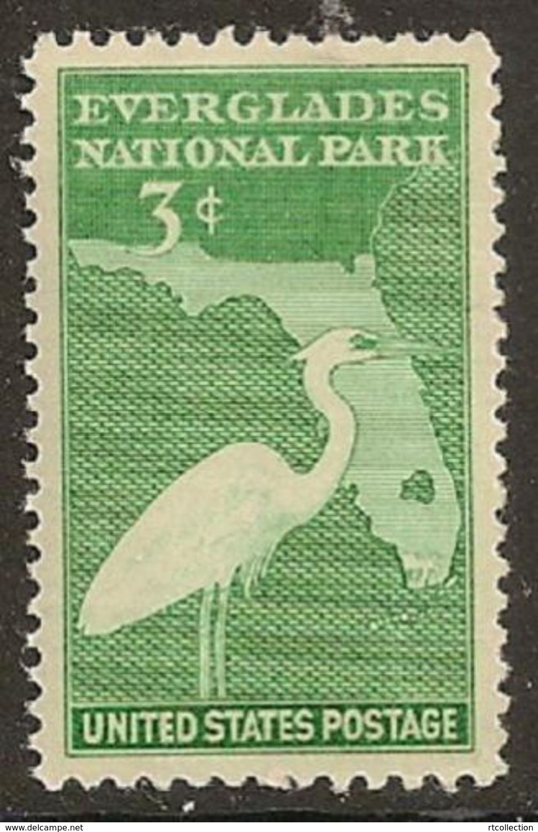 United States 1947 USA Everglades Park Dedication Birds Wildlife Nature Bird Cranes Crane 3c Single Stamp MNH Scott 952 - Cranes And Other Gruiformes