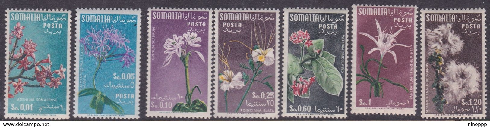 Somalia Scott 199-204 1955 Flower, Mint Never Hinged - Somalië (AFIS)