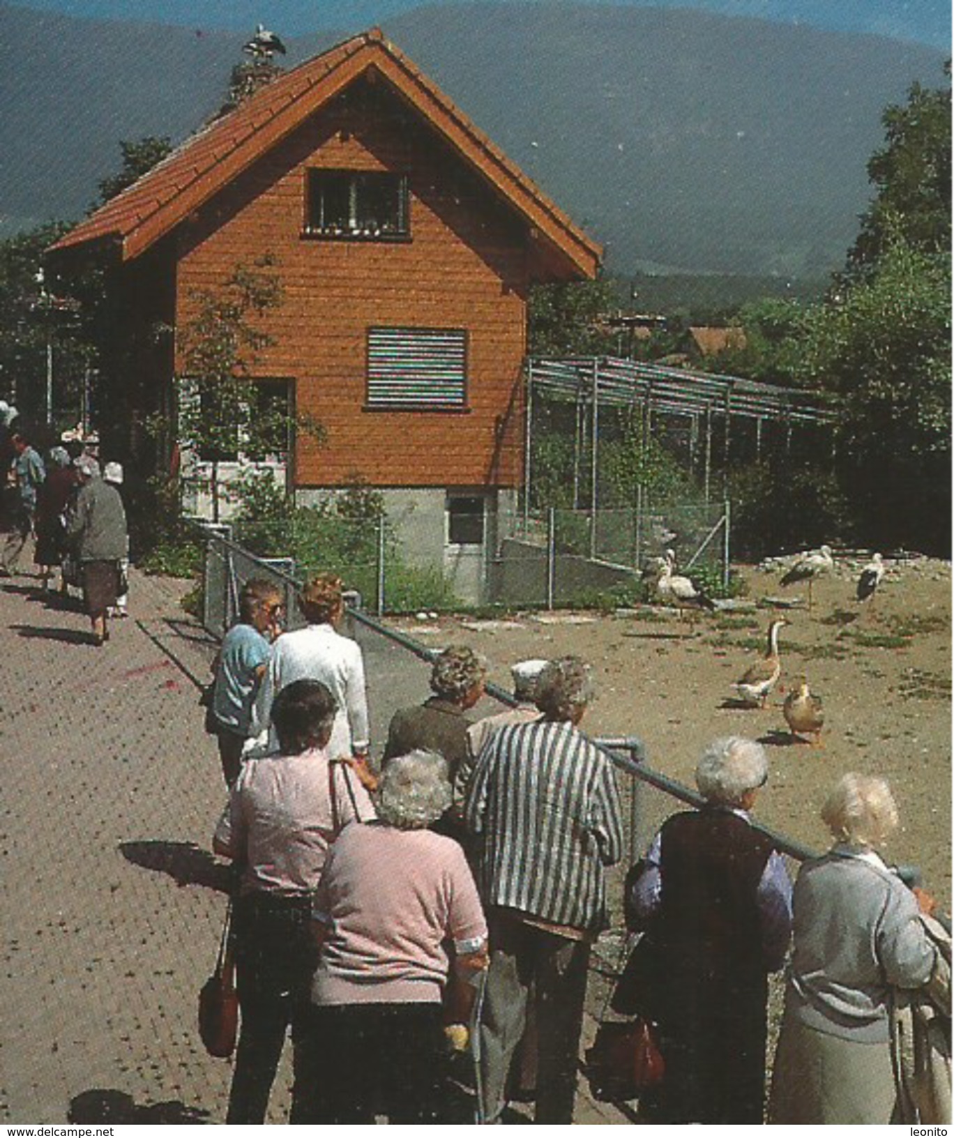 ALTREU SO Selzach Schweiz. Gesellschaft Für Den Weissstorch Storch Grenchen 1996 - Selzach