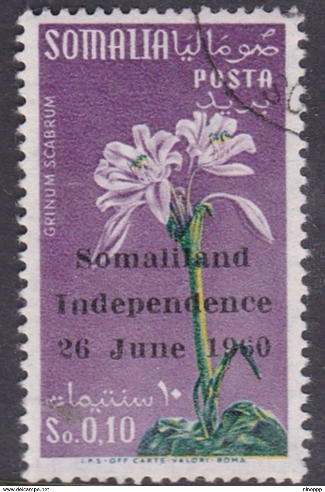 Somalia Scott 242 1960 Independence Flower, Used - Somalie (AFIS)