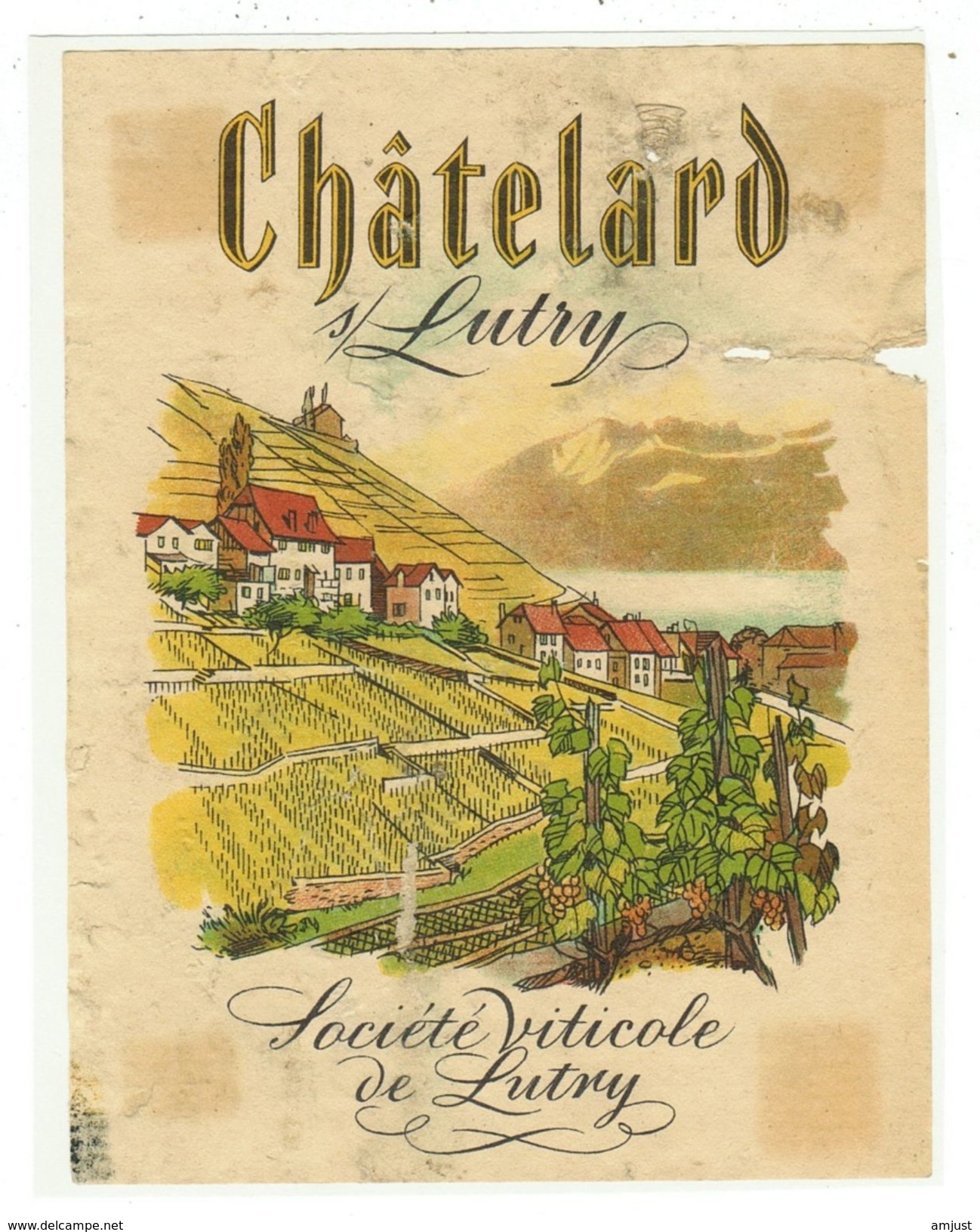 Rare // Etiquette // Châtelard Sur Lutry, Société Viticole De Lutry, Vaud // Suisse - Autres & Non Classés