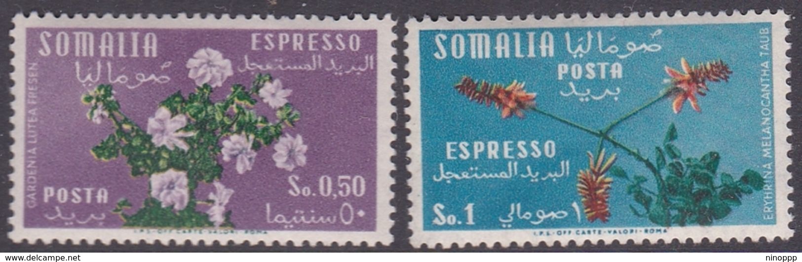 Somalia Scott E10-11 1955 Flowers Special Delivery Stamp, Mint Never Hinged - Somalië (AFIS)