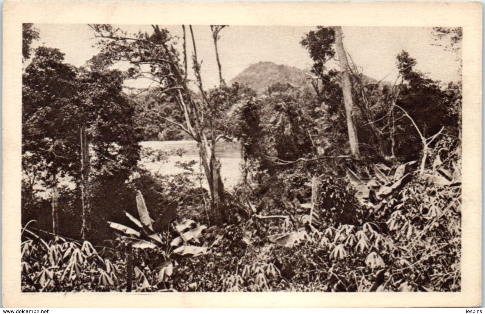 AFRIQUE -- GABON -- Sur Le Bord De La Ngunié - Gabon