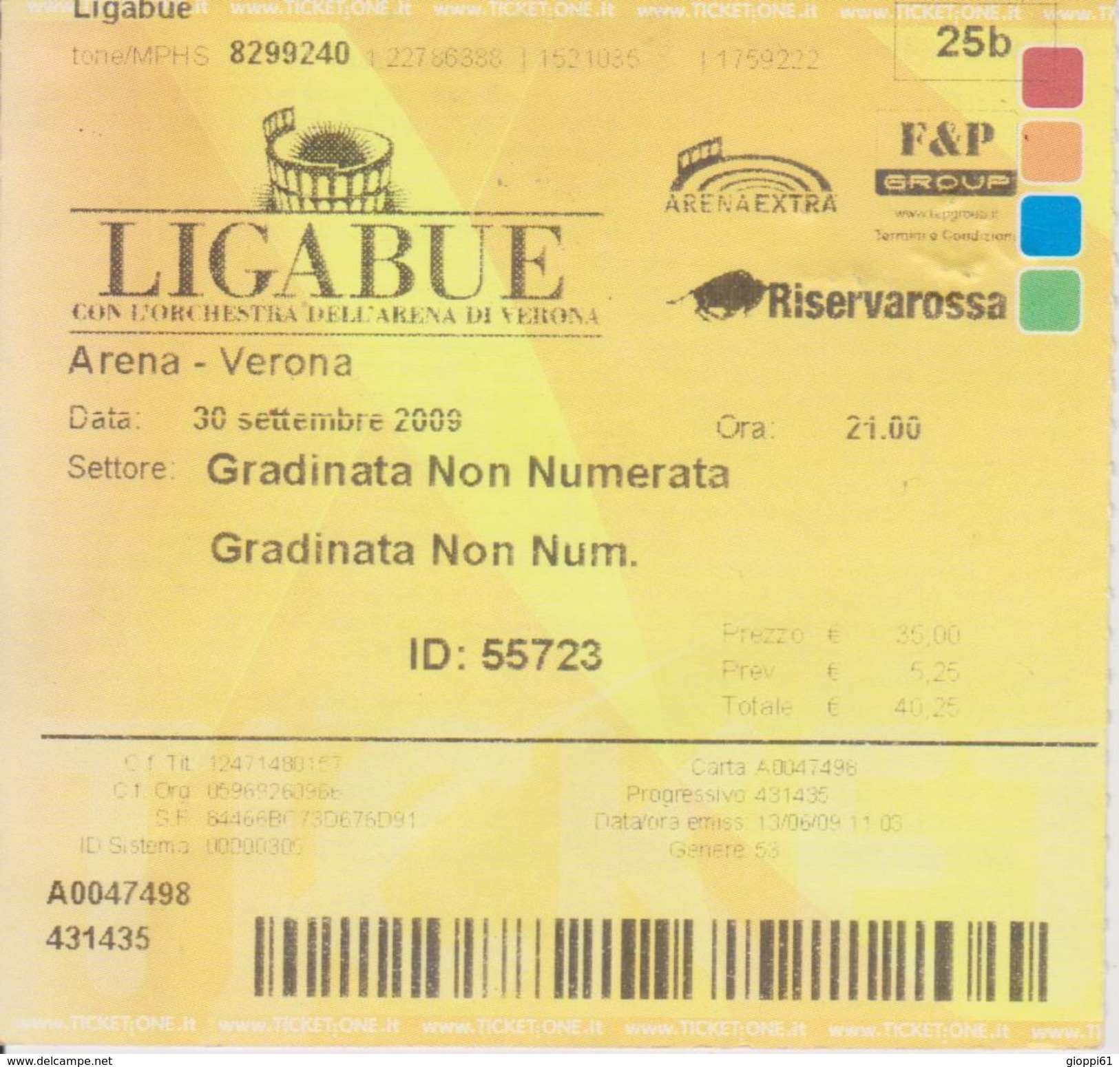 Biglietto Ingresso (cedolino) Concerto Ligabue Arena Di Verona 2009 - Tickets D'entrée