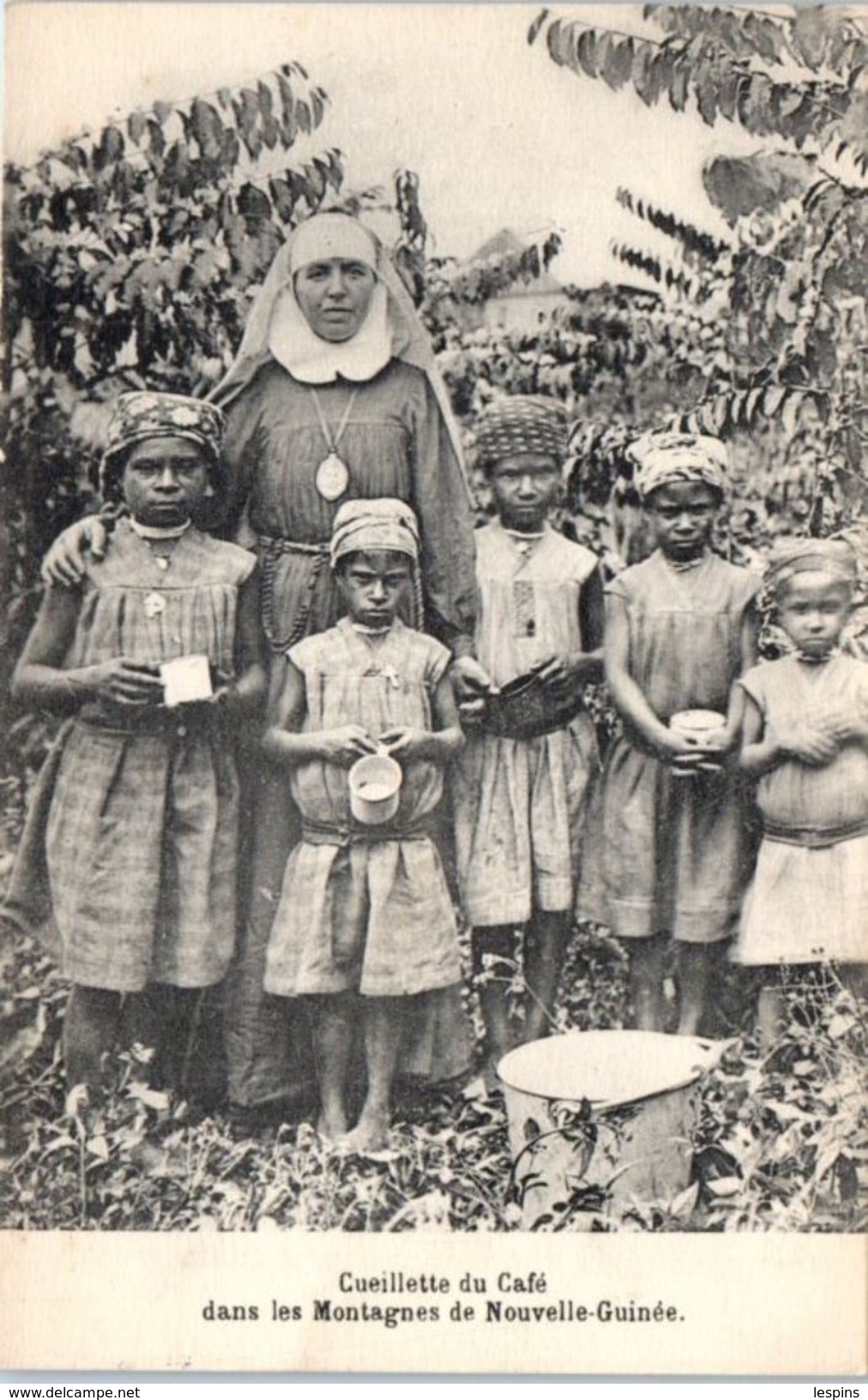 OCEANIE --  Papouasie  - NOUVELLE GUINEE  - Ceuillette Du Café Dans Les Montagnes - Papoea-Nieuw-Guinea