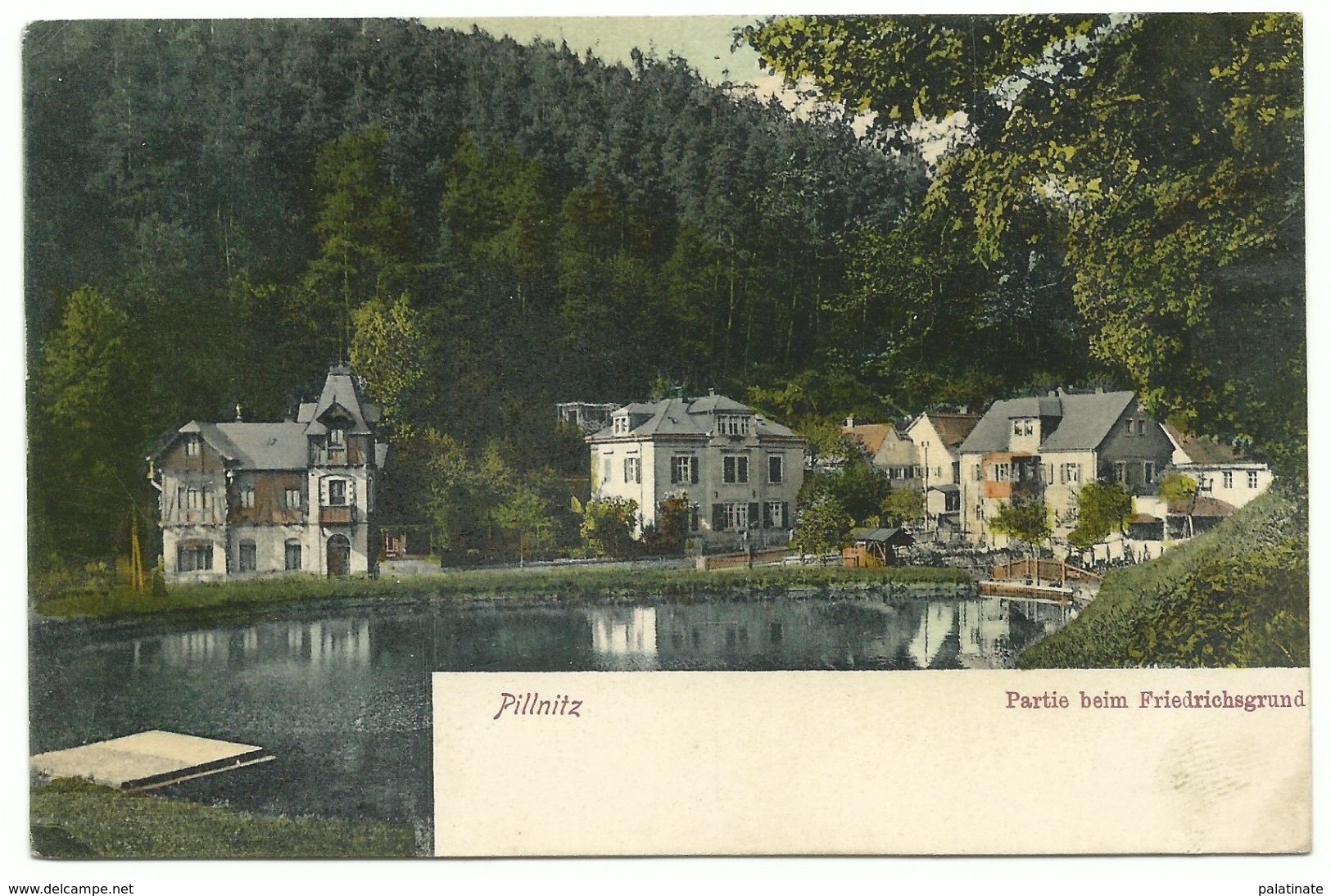 Pillnitz Partie Beim Friedrichsgrund 1905 - Pillnitz