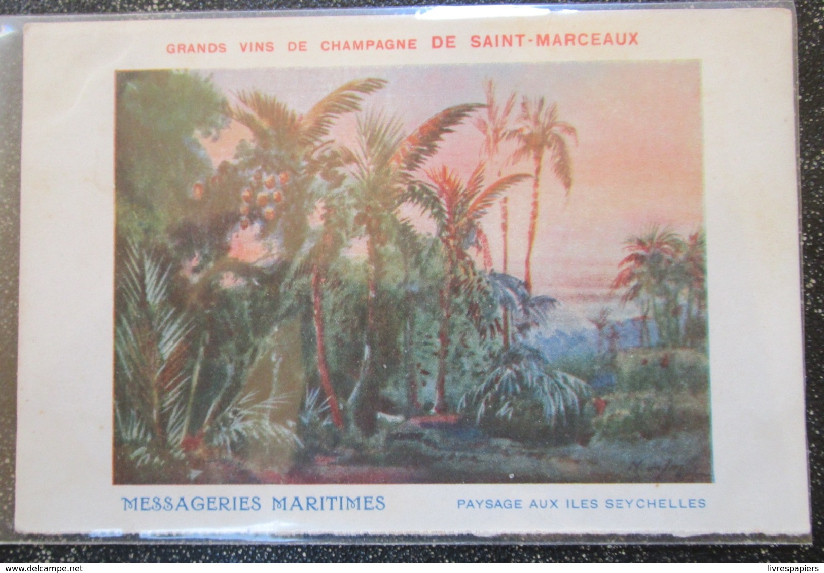 Seychelles Messageries Maritimes Champagne Saint Marceux Cpa - Seychelles