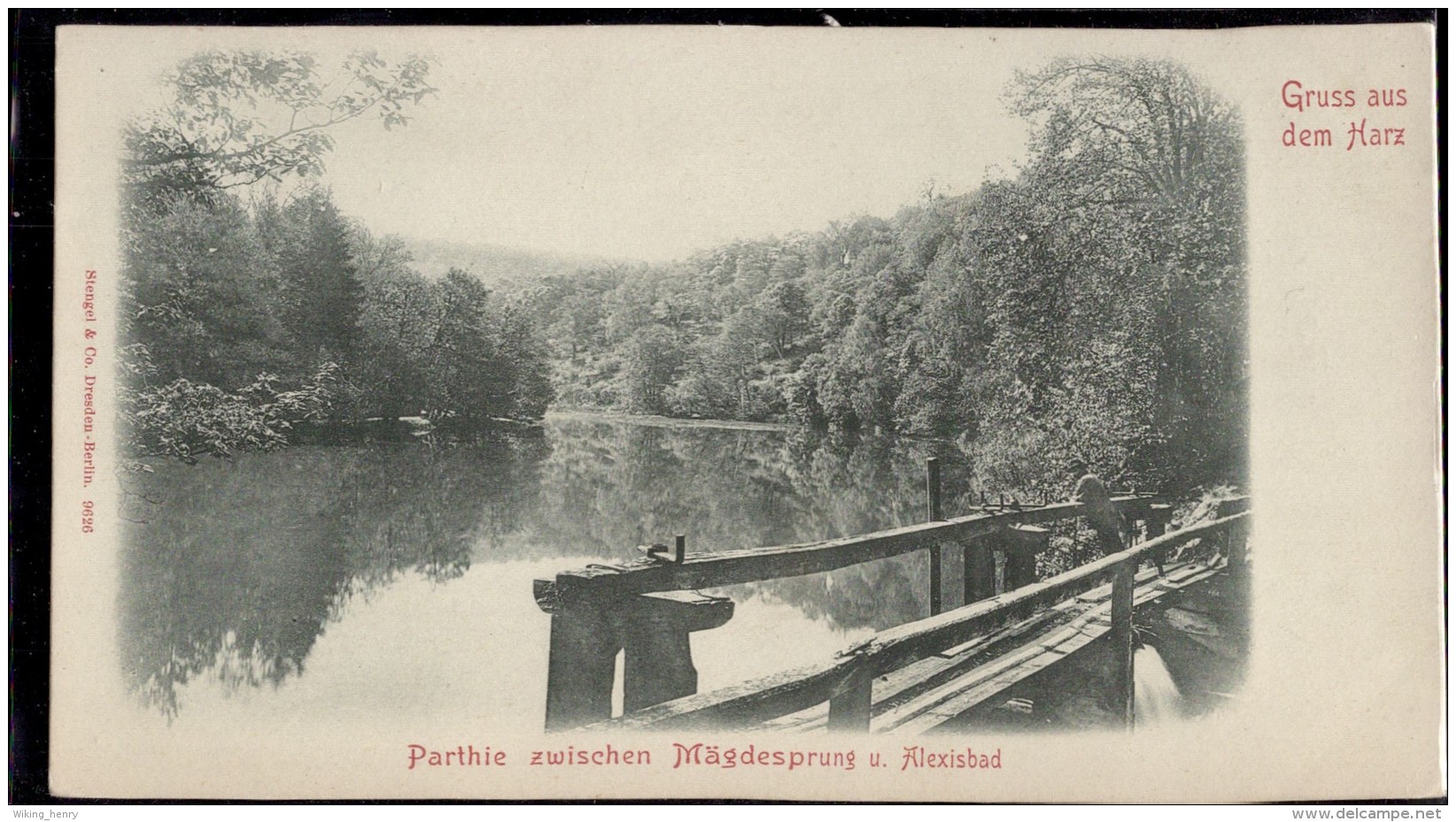 Harz - S/w Parthie Zwischen Mägdesprung Und Alexisbad   Bei Harzgerode - Harzgerode