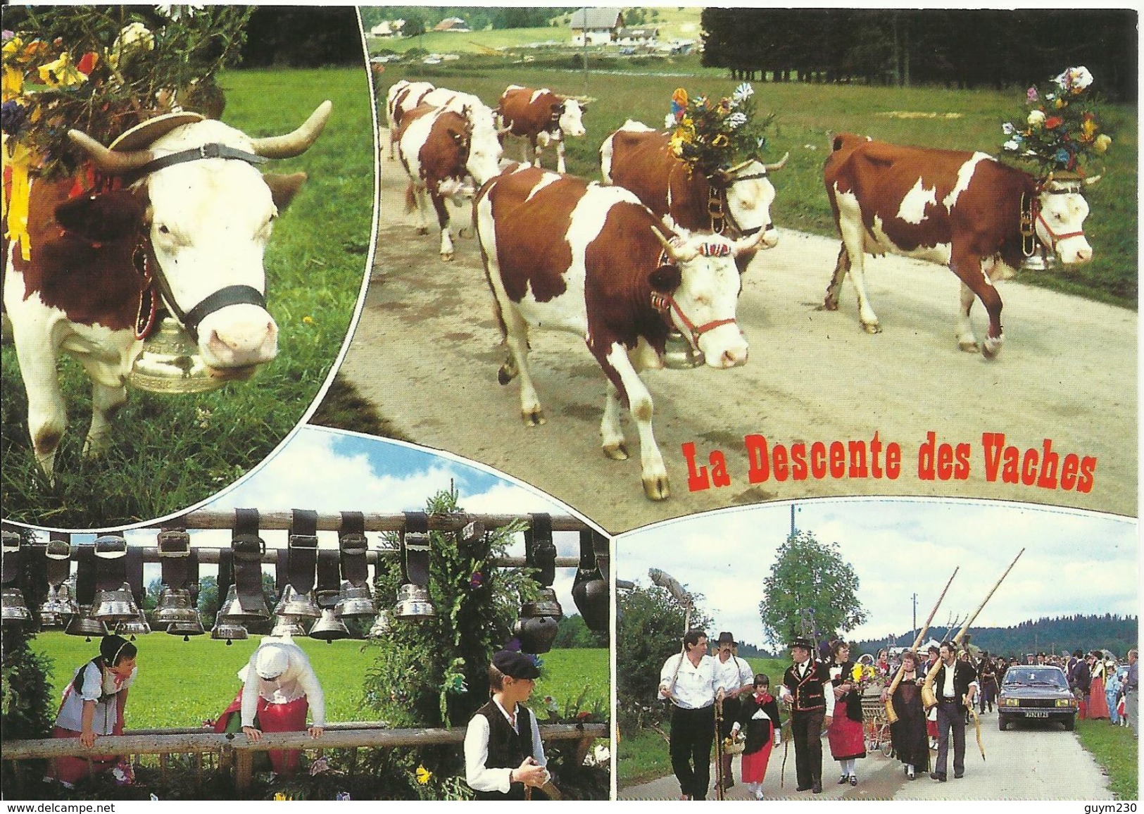 Descente Des  Vaches - Multivues - Autres & Non Classés