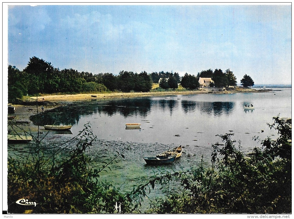 56 - ILE D'ARZ - Plage Du Moulin  - Barques      - COMBIER -CIM - IMP à MACON   Ref 0282 - Ile D'Arz