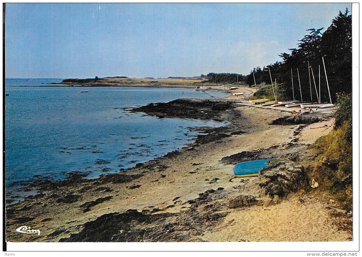 56 - ILE D'ARZ - Plage Des Dériveurs    - COMBIER -CIM - IMP à MACON   Ref 0281 - Ile D'Arz