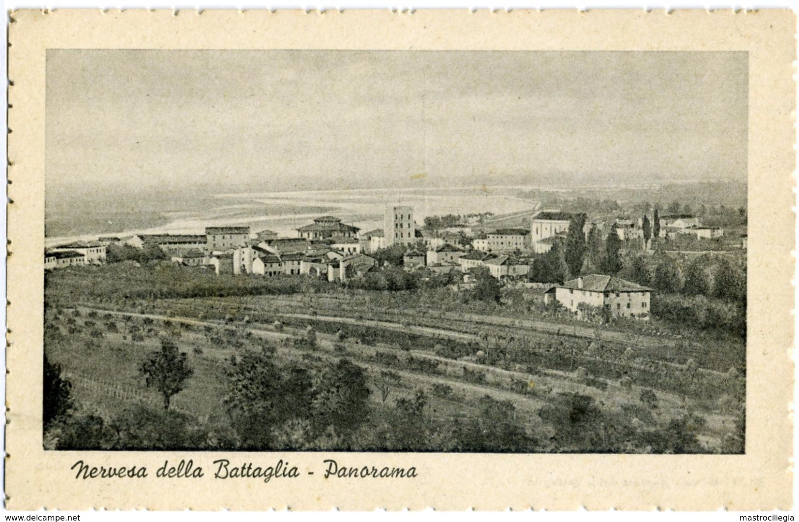 NERVESA DELLA BATTAGLIA  TREVISO  Panorama Con Il Fiume Piave  Ed. Miron - Treviso