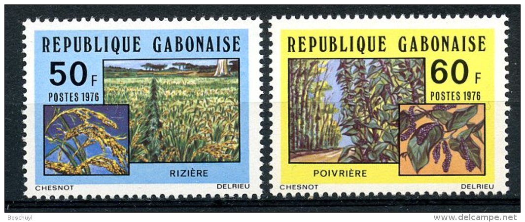 Gabon, 1976, Agriculture, Rice, Pepper, MNH, Michel 609-610 - Gabon (1960-...)