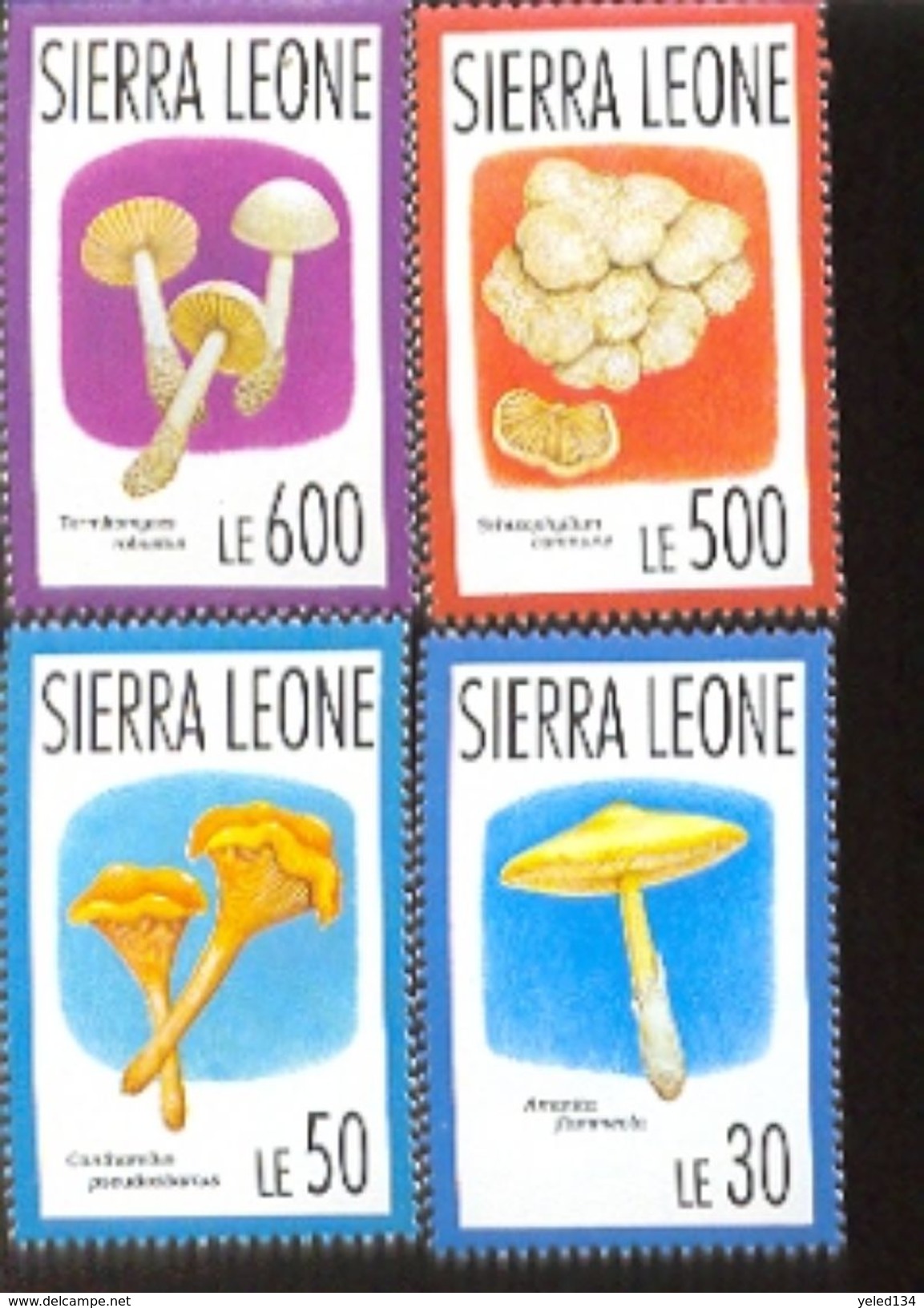 SIERRA LEONE  1618-25  MINT NEVER HINGED SET OF STAMPS OF MUSHROOMS - Pilze