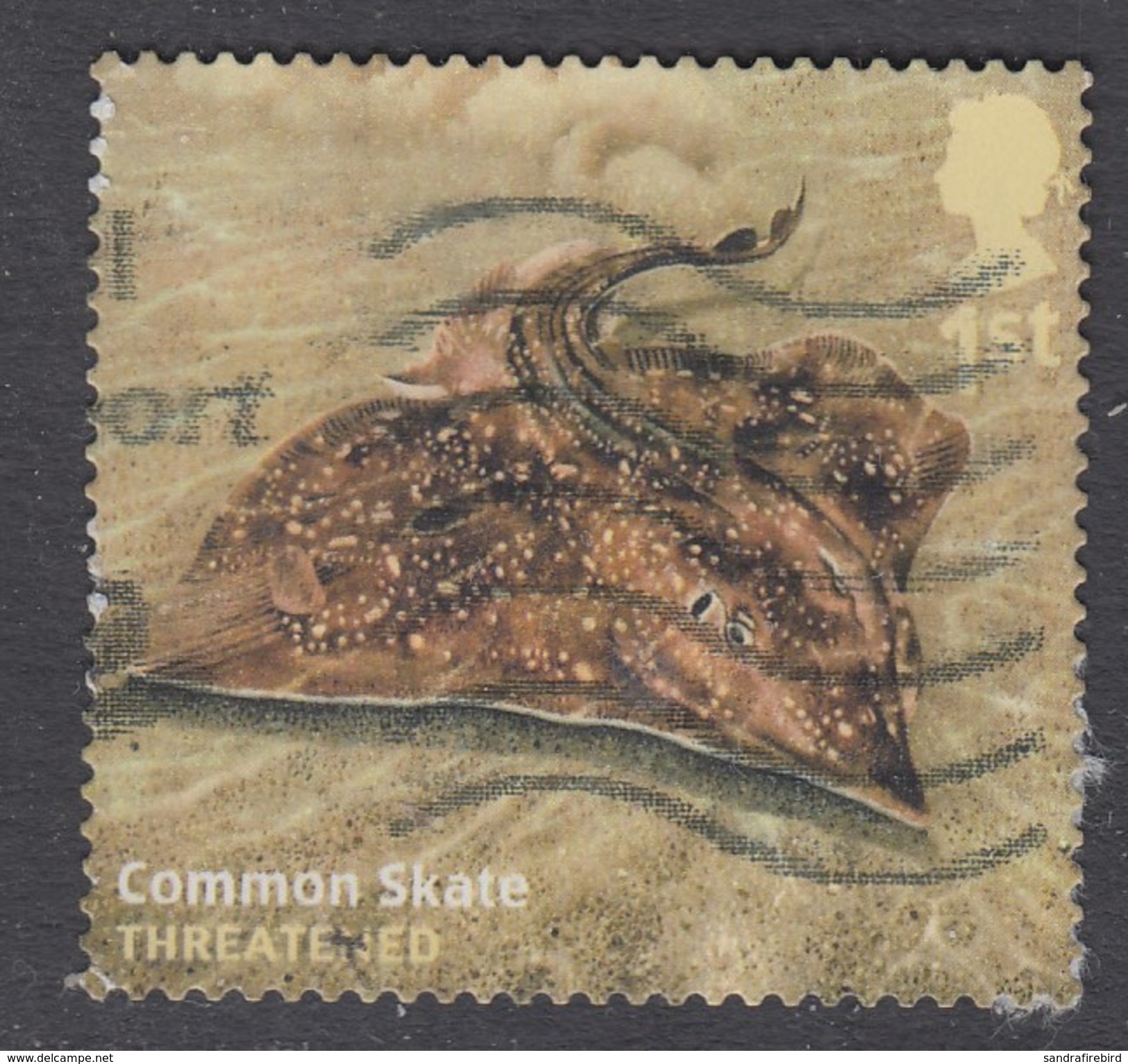 GREAT BRITAIN - 2014 Sustainable Fish -  Common Skate 1st  SG3614 Used As Scan - Used Stamps
