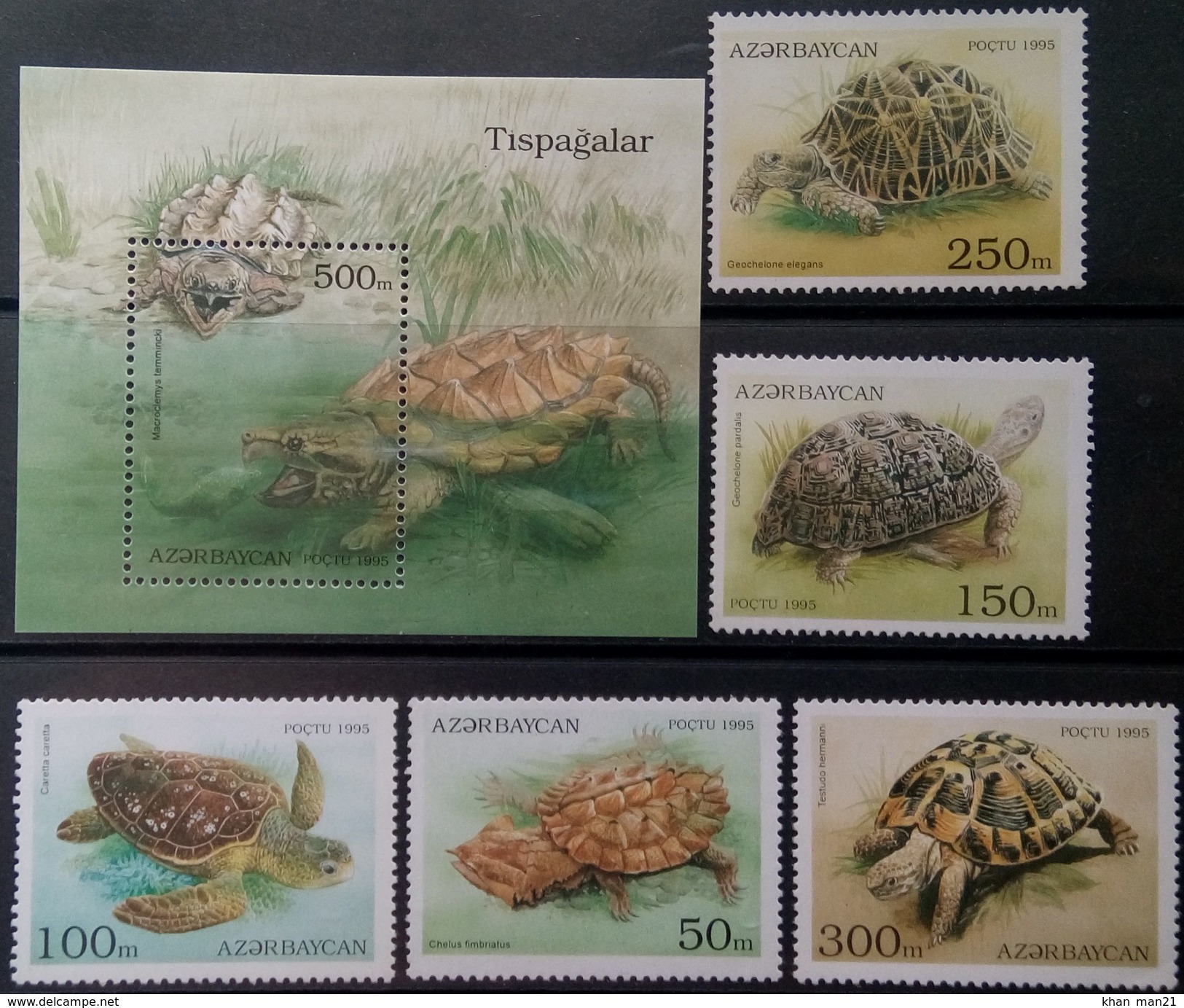 Azerbaijan, 1995, Turtles, MNH - Schildkröten