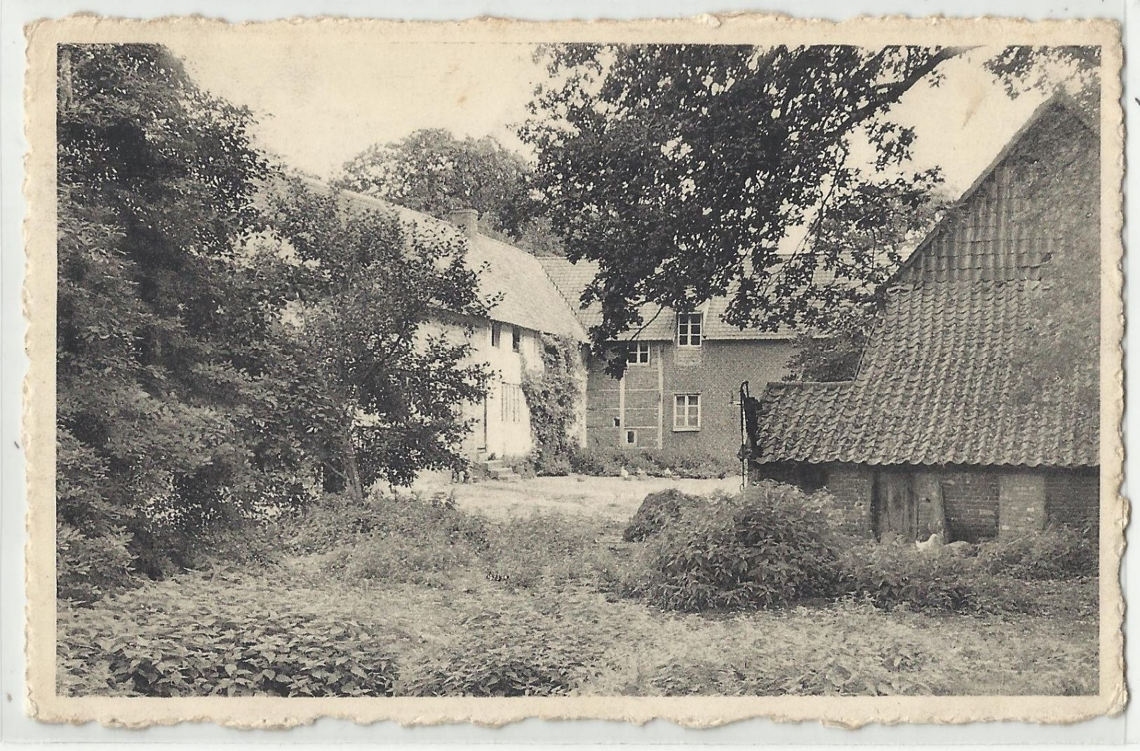 Houthalen - Kelchterhoef - 1955 - Houthalen-Helchteren