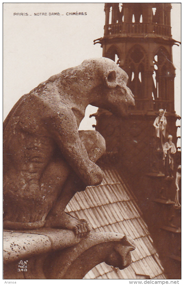 75 -- Paris -- Notre Dame -- Chimères (7) - Notre Dame De Paris