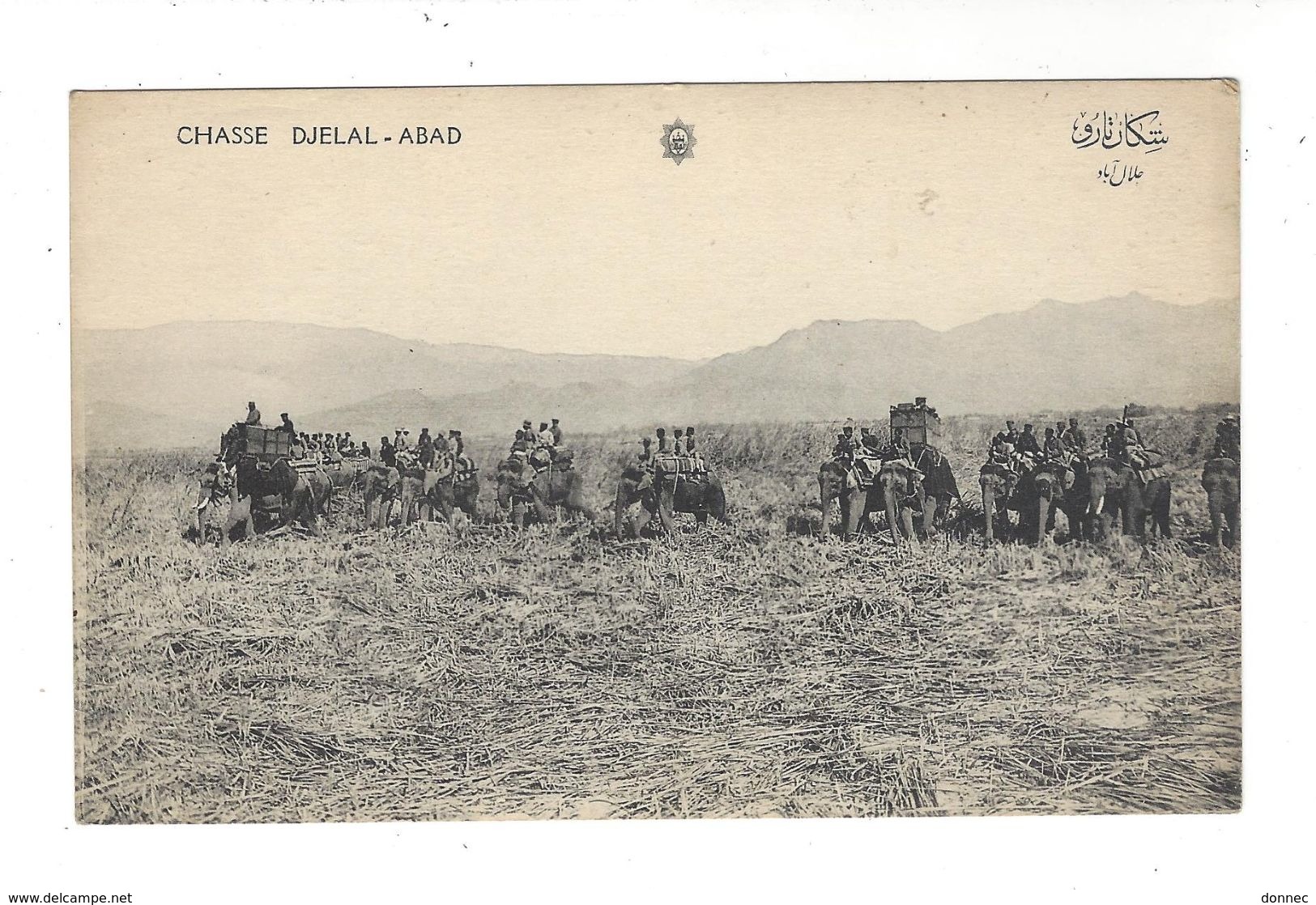 ( AFGHANISTAN )  Chasse Djelal - Abad ( Eléphant , Au Moins 13 éléphants - Chasse Princière ) - Afghanistan