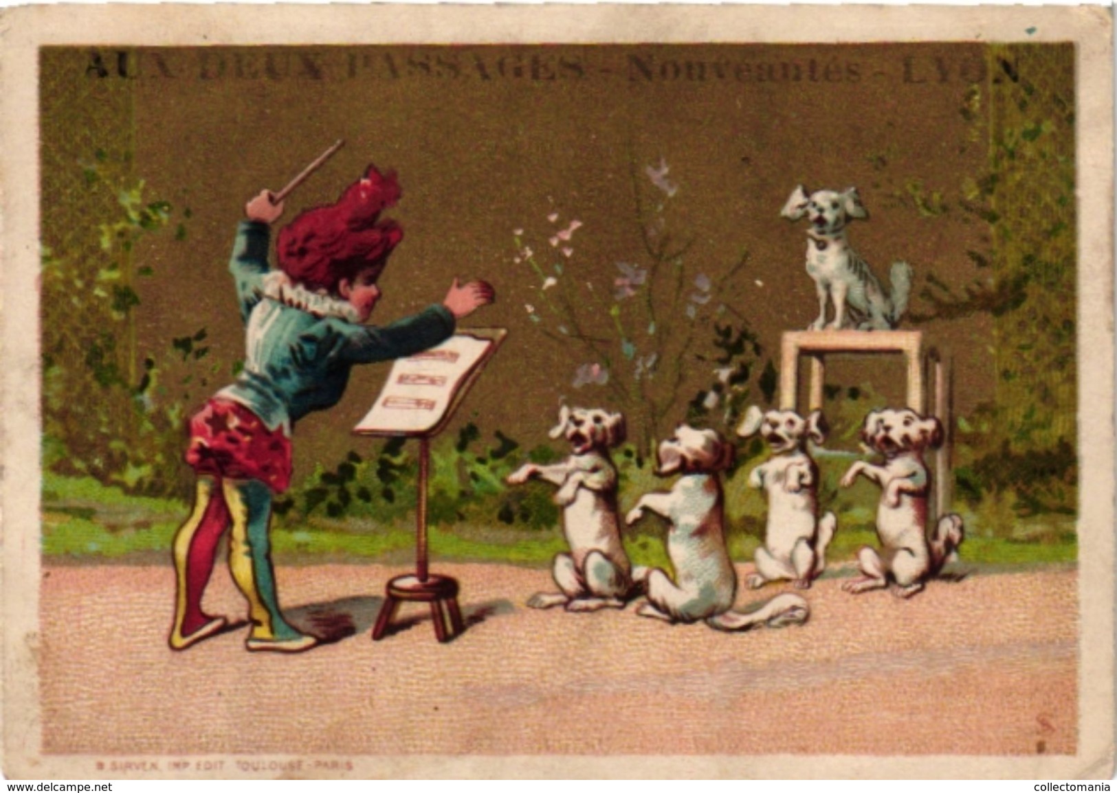 11 Trade Cards & 1 PostCard Music C1880 Dirigent Chef D' Orchestre Conductor C1890 Dressed Animals Litho Anthropomorphic - Other & Unclassified